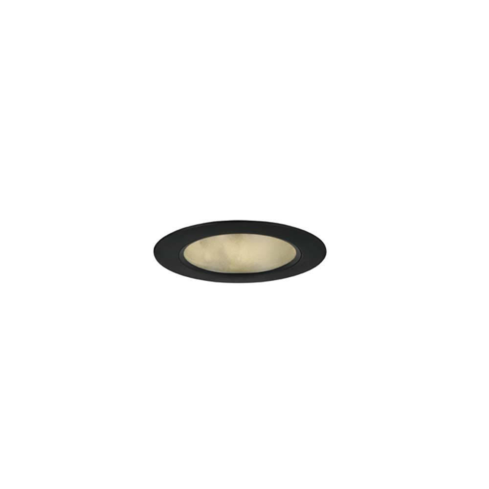 TRIO Leuchten LED Einbaustrahler, LED-Leuchtmittel fest verbaut, Farbwechsel, Neutralweiß, Warmweiß, Einbauleuchte Lampe Wohnzimmerleuchte schwarz Farbwechsel rund IP44