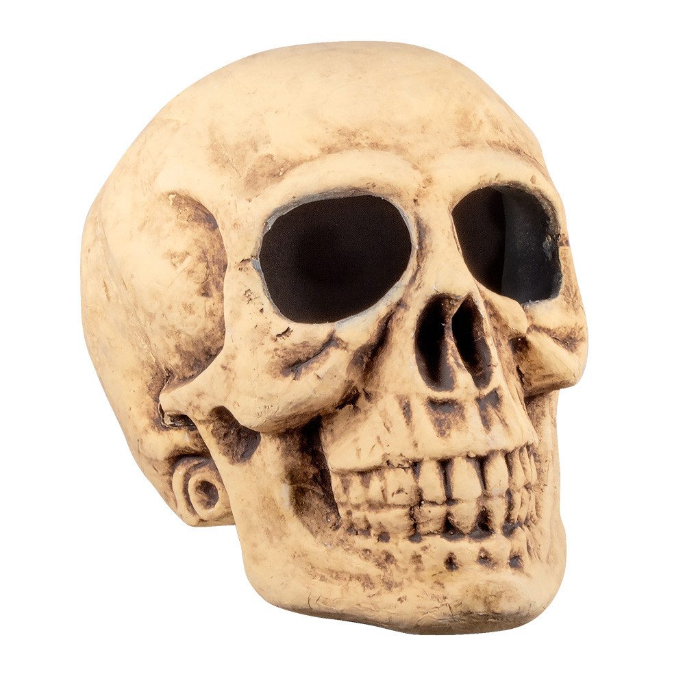 Boland Totenkopf Master brain (40x35cm)