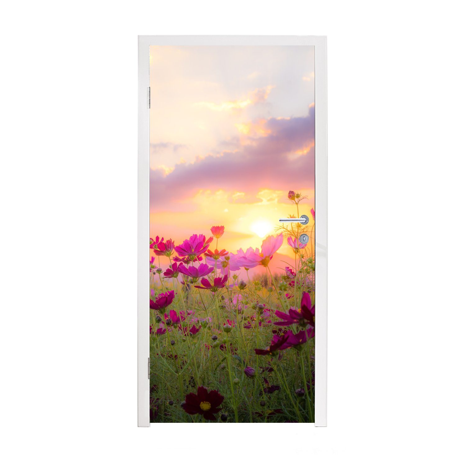 MuchoWow Türtapete Blumen - Rosa - Sonnenuntergang - Natur - Wiese - Horizont, Matt, bedruckt, (1 St), Fototapete für Tür, Türaufkleber, 75x205 cm