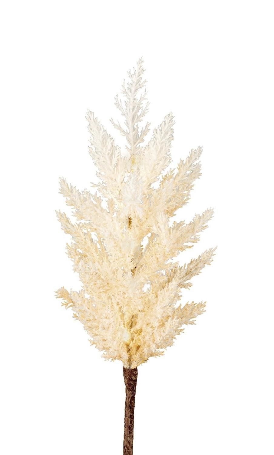 Kaemingk LED-Leuchtzweig Pampasgras BARMAS, Beige, Braun, Kunststoff, 12-flammig, Batteriebetrieben, Länge 70 cm