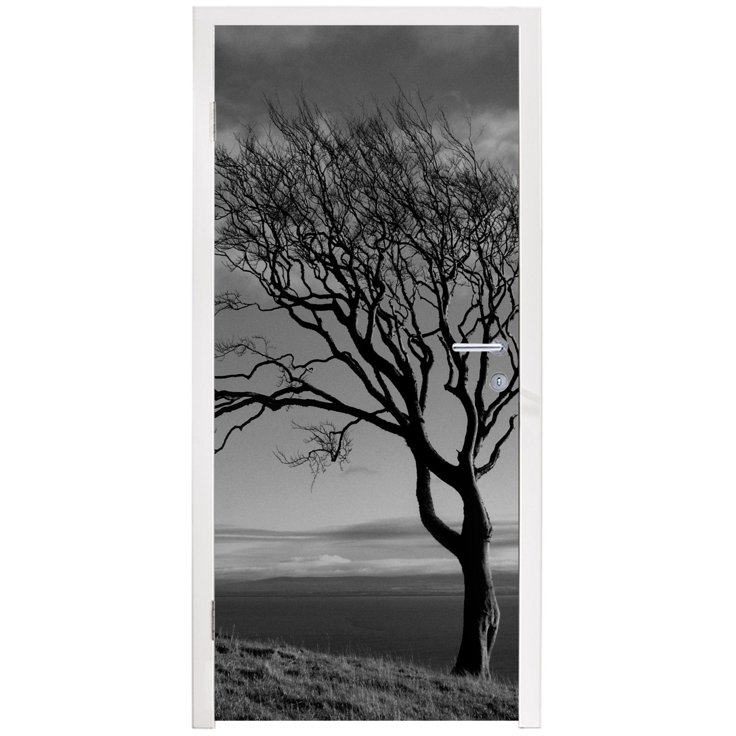 MuchoWow Türtapete St), Tür, bedruckt, Türaufkleber, (1 Fototapete 75x205 cm weiß, und schwarz für Winterfoto Matt, Buche