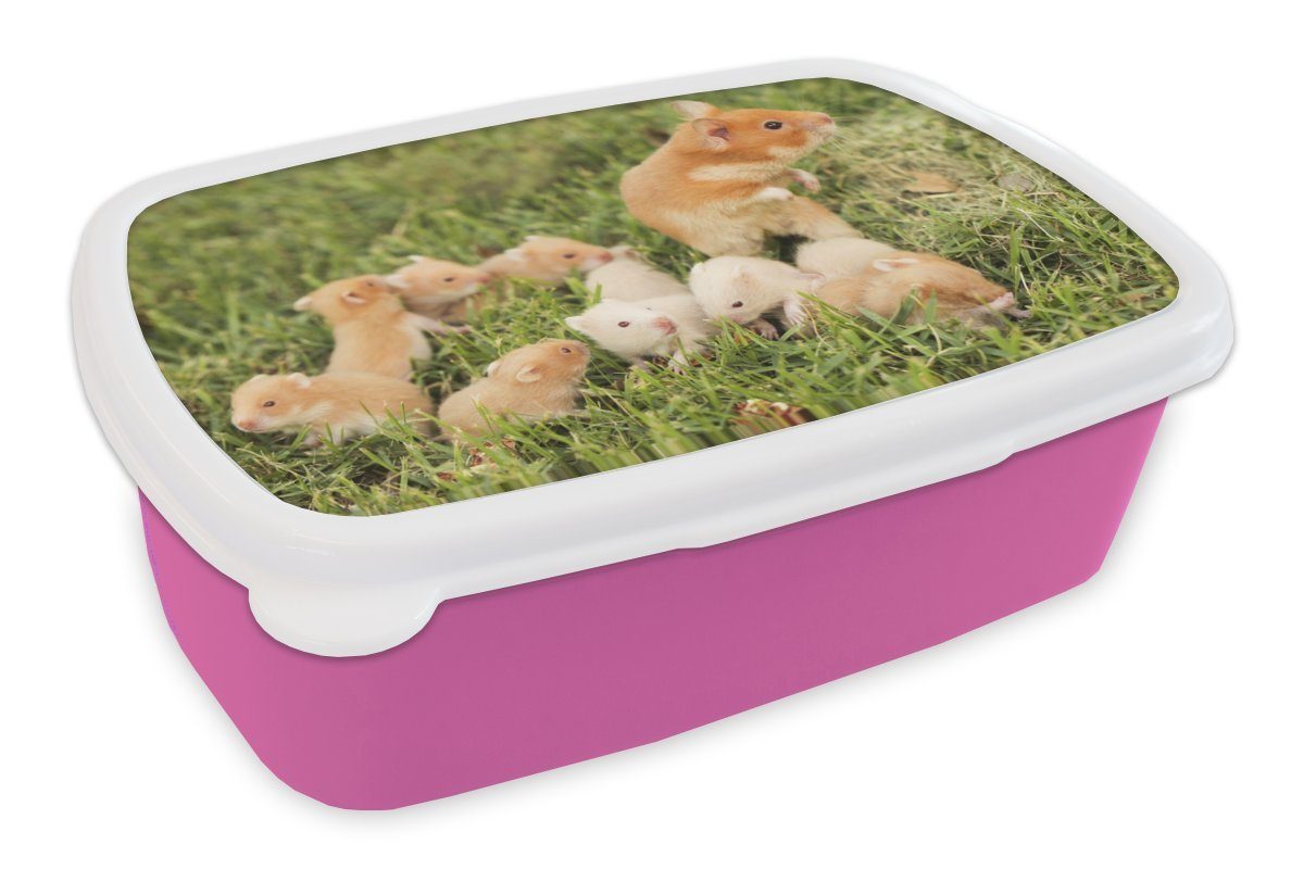 rosa mit Kunststoff, Kunststoff Goldhamster für Mädchen, Kinder, Brotdose (2-tlg), Snackbox, Junge, Erwachsene, MuchoWow Lunchbox Brotbox