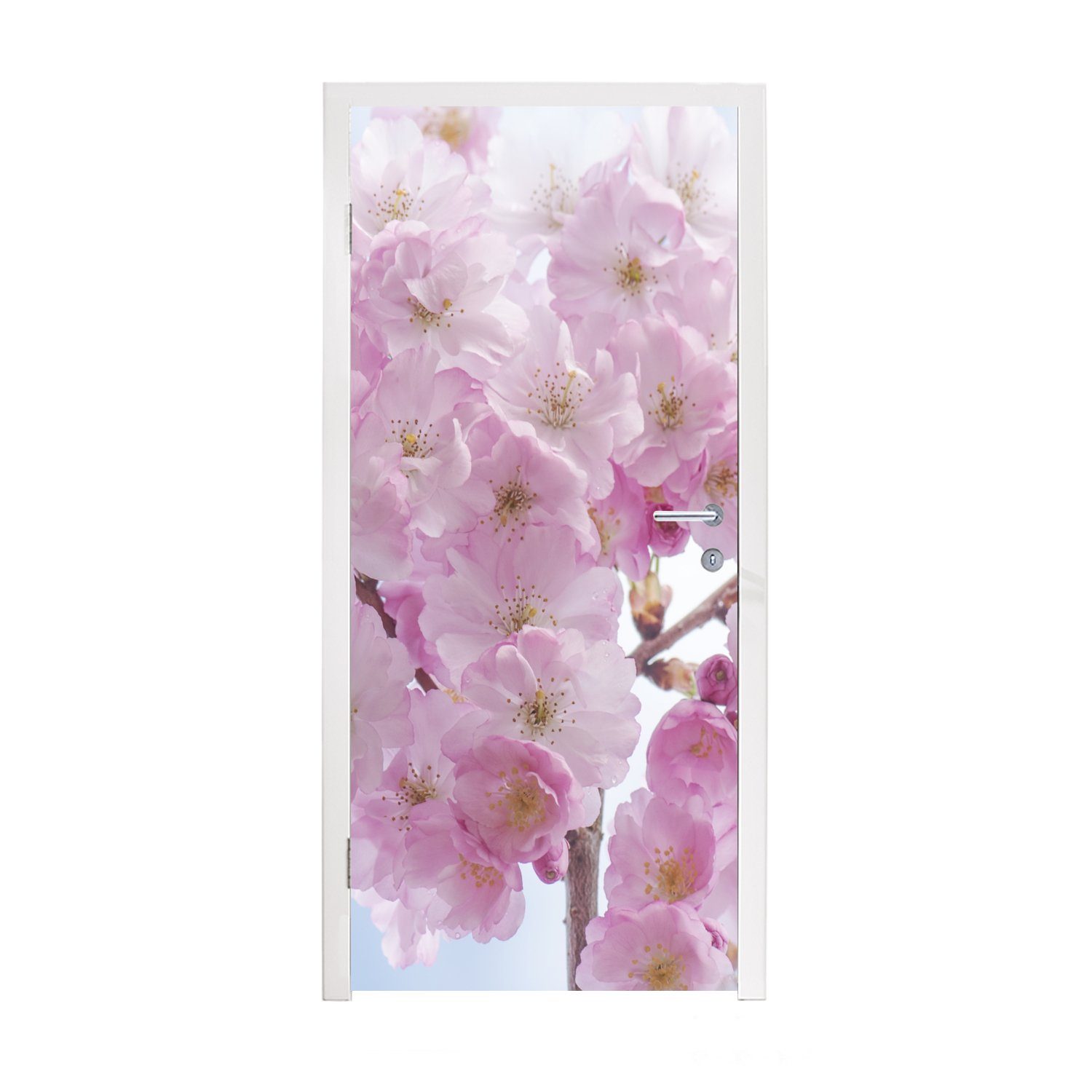 MuchoWow Türtapete Blüte - Kirschbaum - Frühling, Matt, bedruckt, (1 St), Fototapete für Tür, Türaufkleber, 75x205 cm | Türtapeten