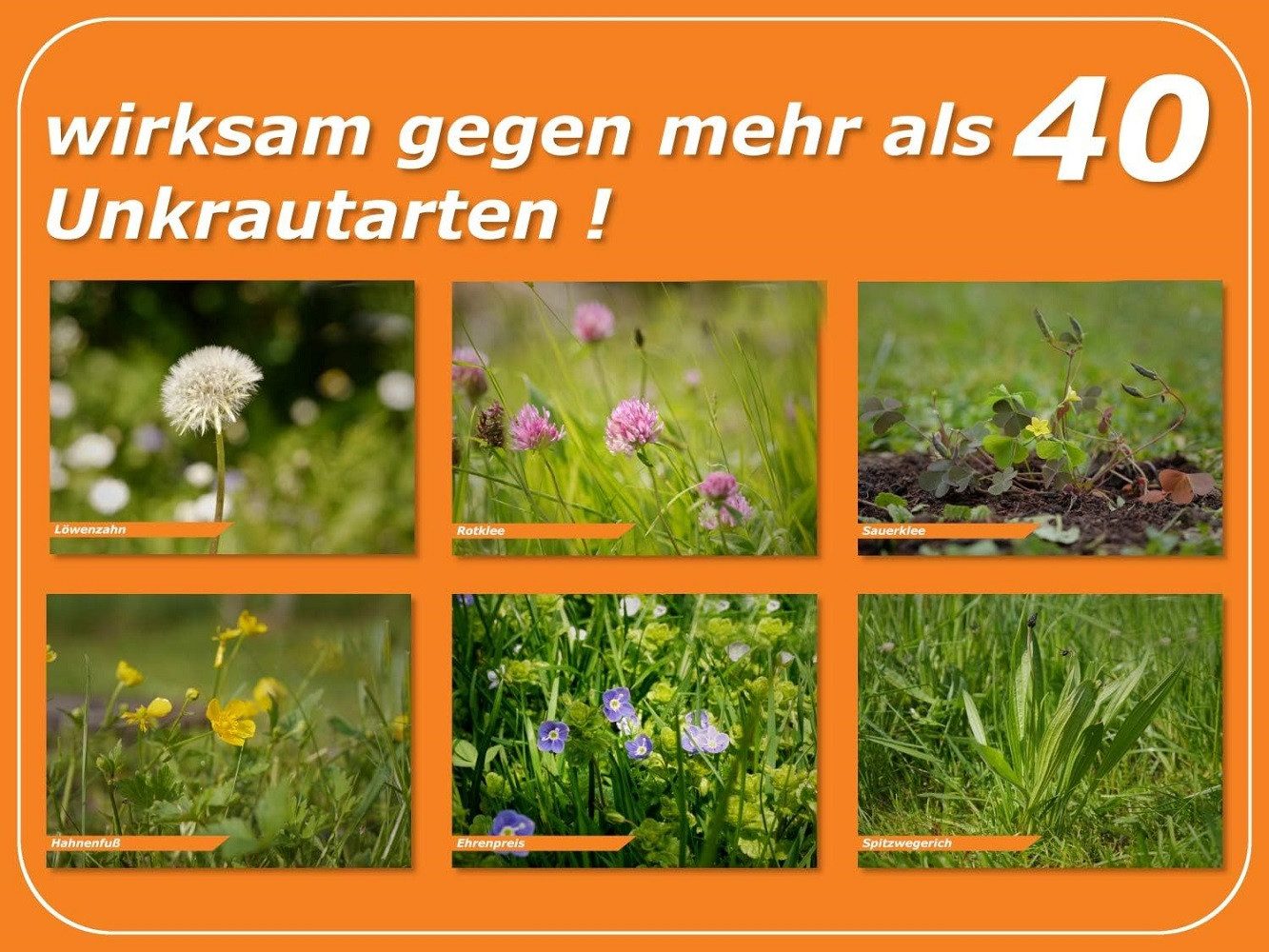 Celaflor Unkrautbekämpfungsmittel Celaflor Rasen Unkrautfrei Weedex 250 ml