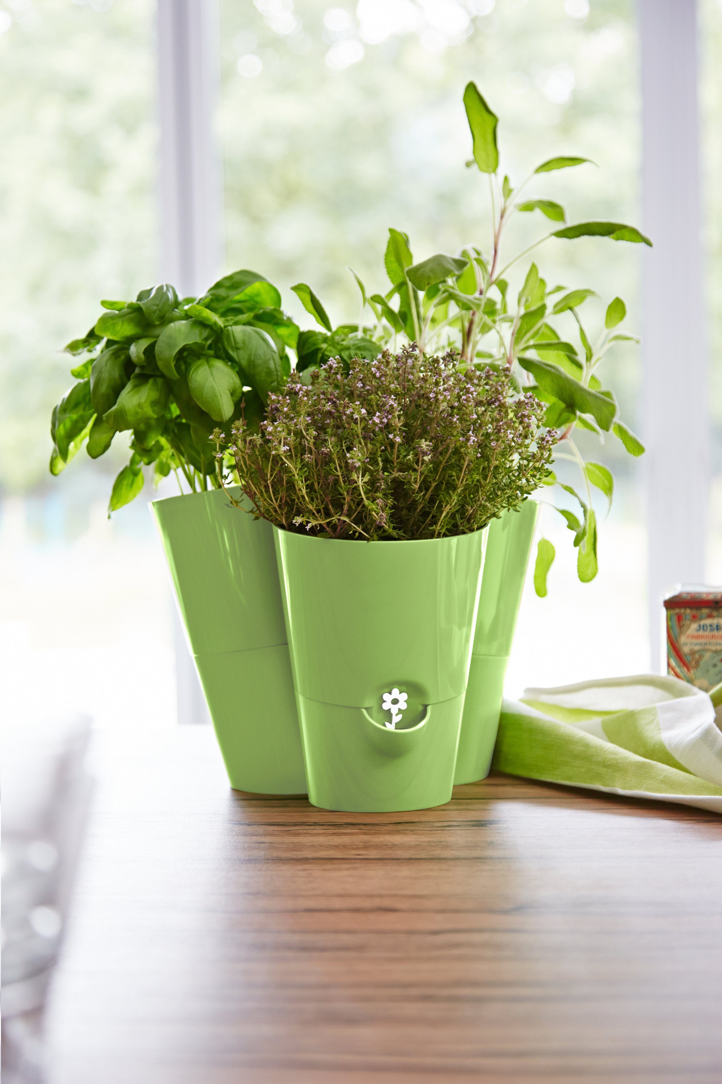 Poétic Blumenkasten FRESH Trio, HERBS cm 27x25x21 BxTxH