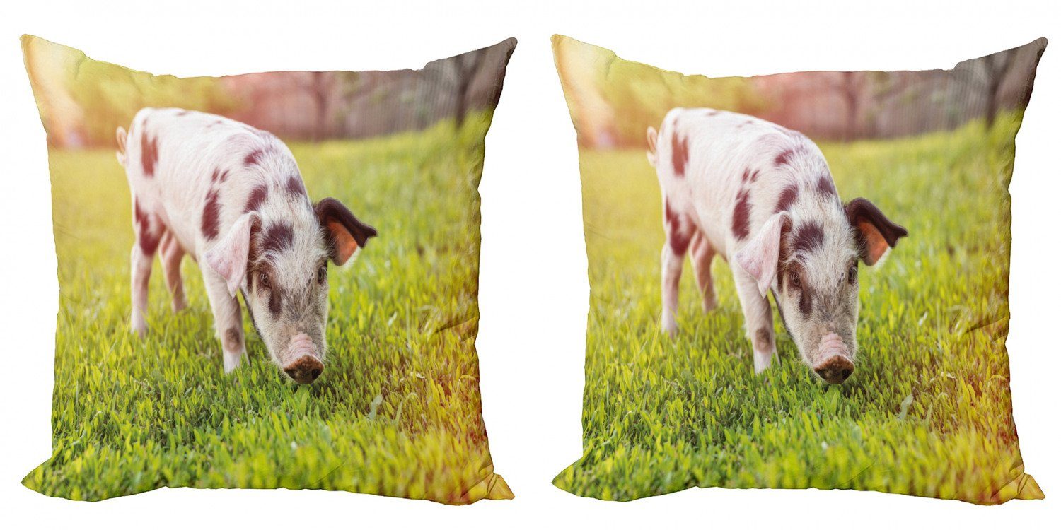 Kissenbezüge Modern Accent Doppelseitiger Digitaldruck, Abakuhaus (2 Stück), Bauernhoftier Baby-Schwein mit Spots