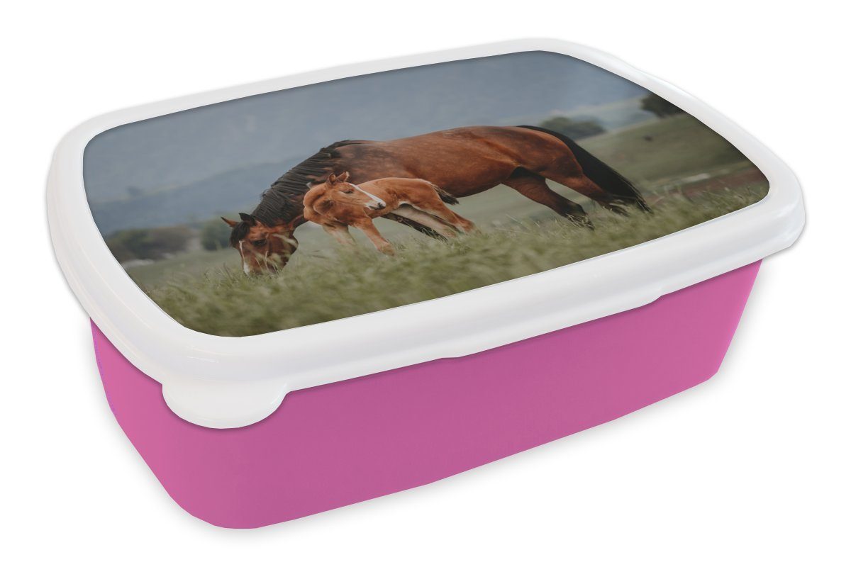 MuchoWow Lunchbox Pferde - Fohlen - Natur, Kunststoff, (2-tlg), Brotbox für Erwachsene, Brotdose Kinder, Snackbox, Mädchen, Kunststoff rosa