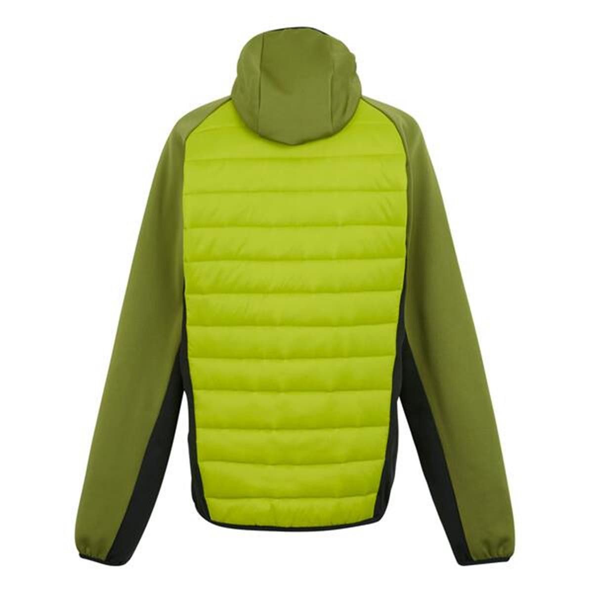 Regatta Outdoorjacke Herren Jacke Andreson Baffled/Quilted - Polyamidgewebe günstig online kaufen