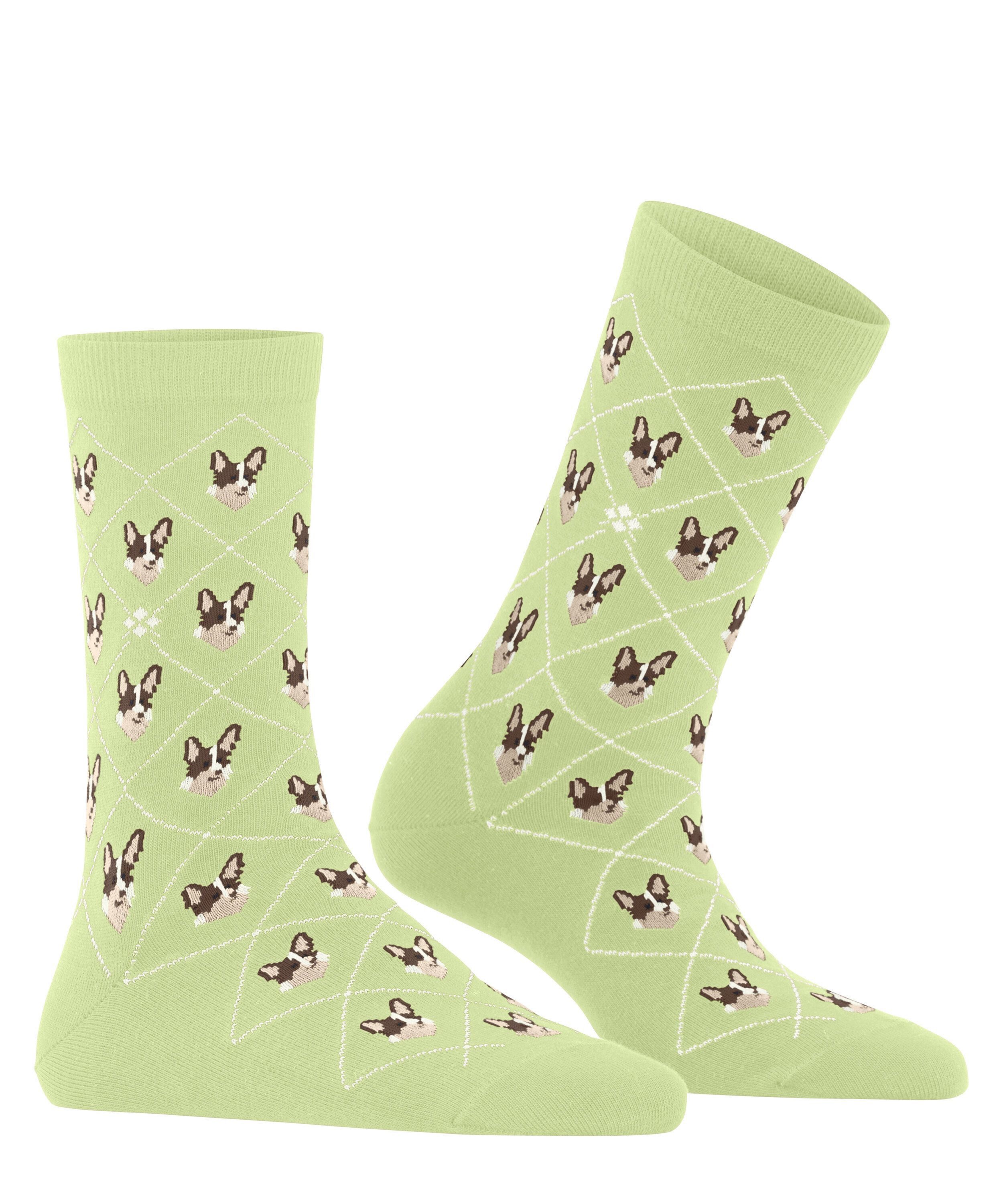 Burlington Socken