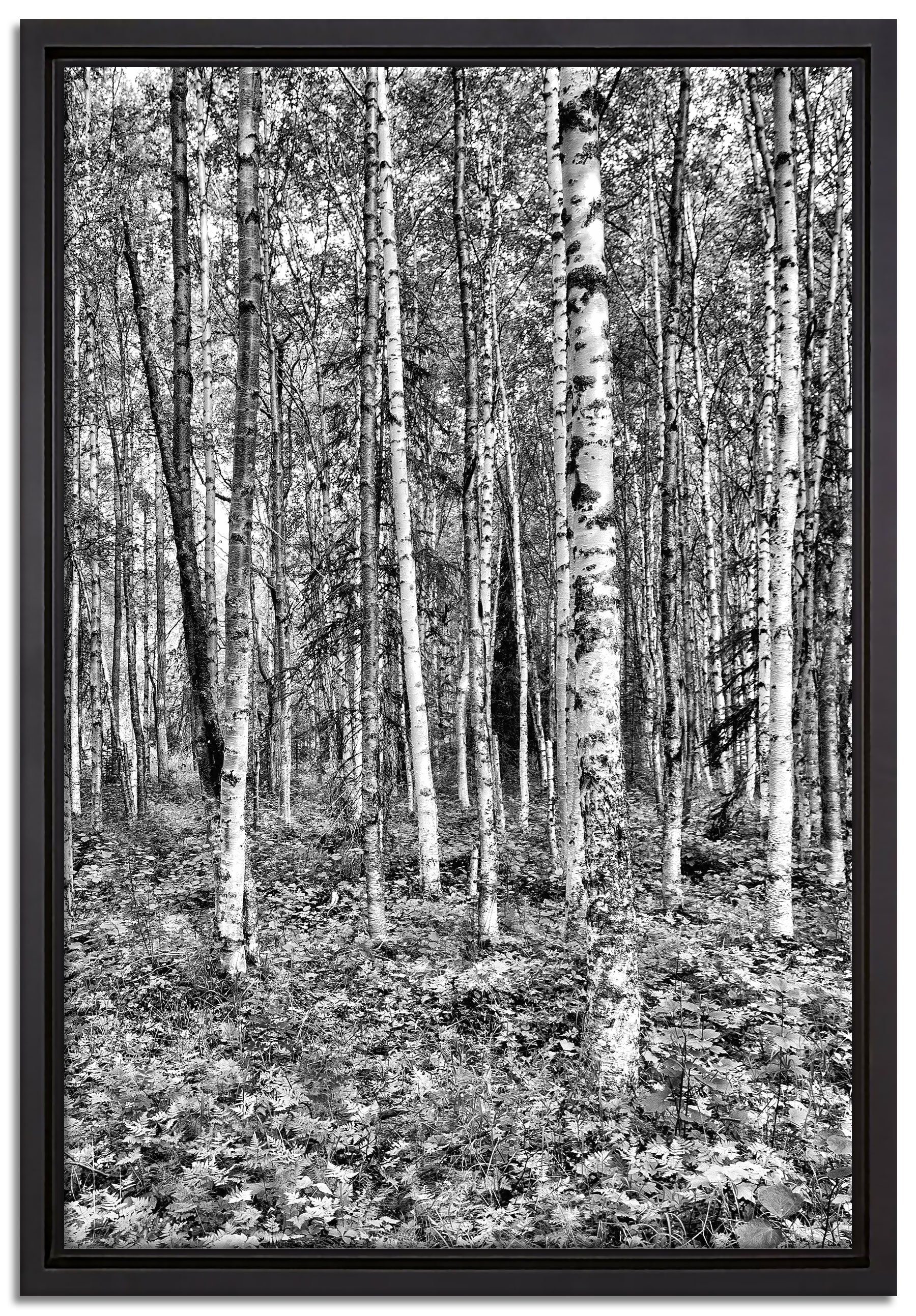 Pixxprint Leinwandbild Birkenwald, Wanddekoration (1 St), Leinwandbild fertig bespannt, in einem Schattenfugen-Bilderrahmen gefasst, inkl. Zackenaufhänger