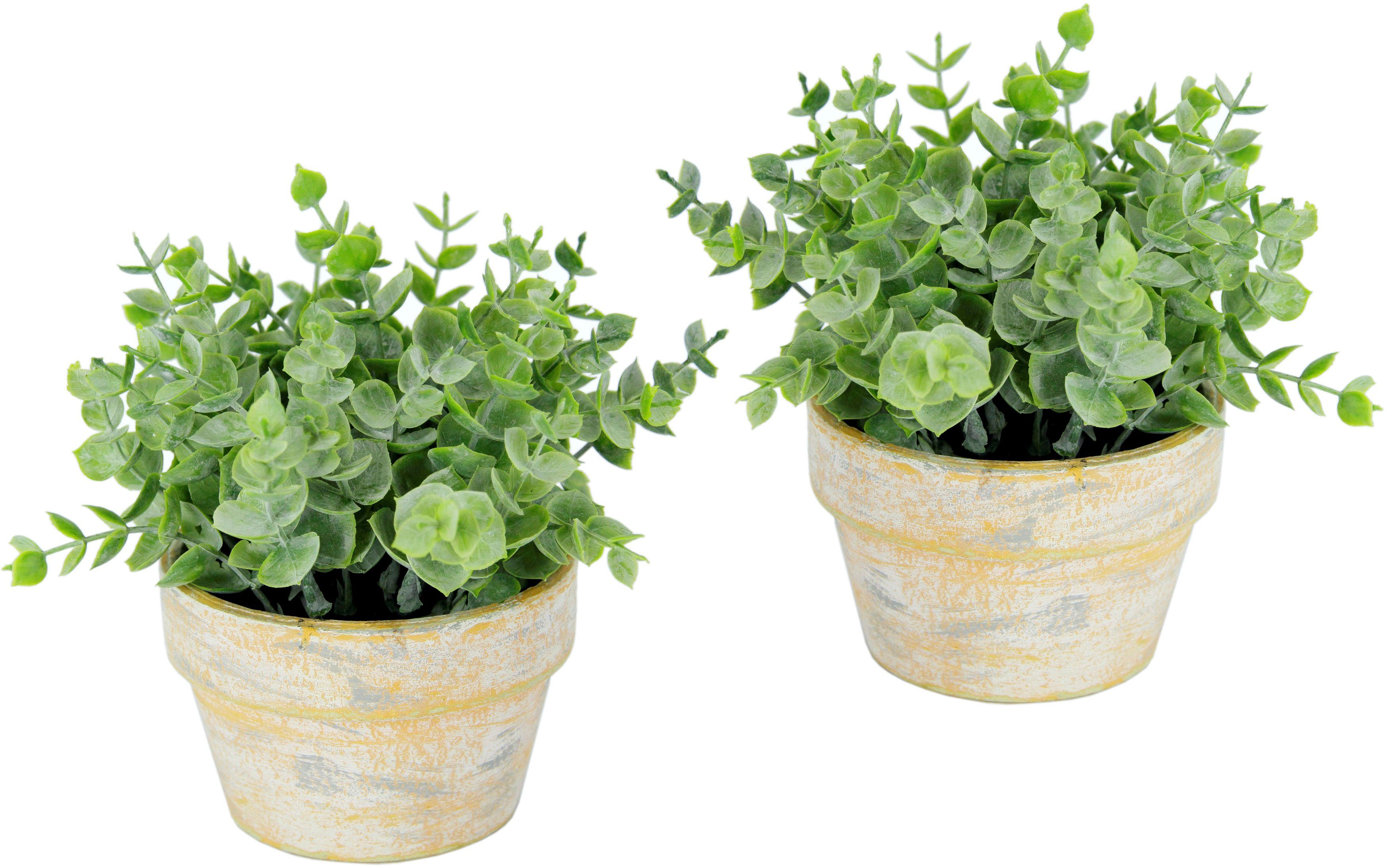 Kunstpflanze Künstlicher Eukalyptus im Topf 2er Set Pflanze