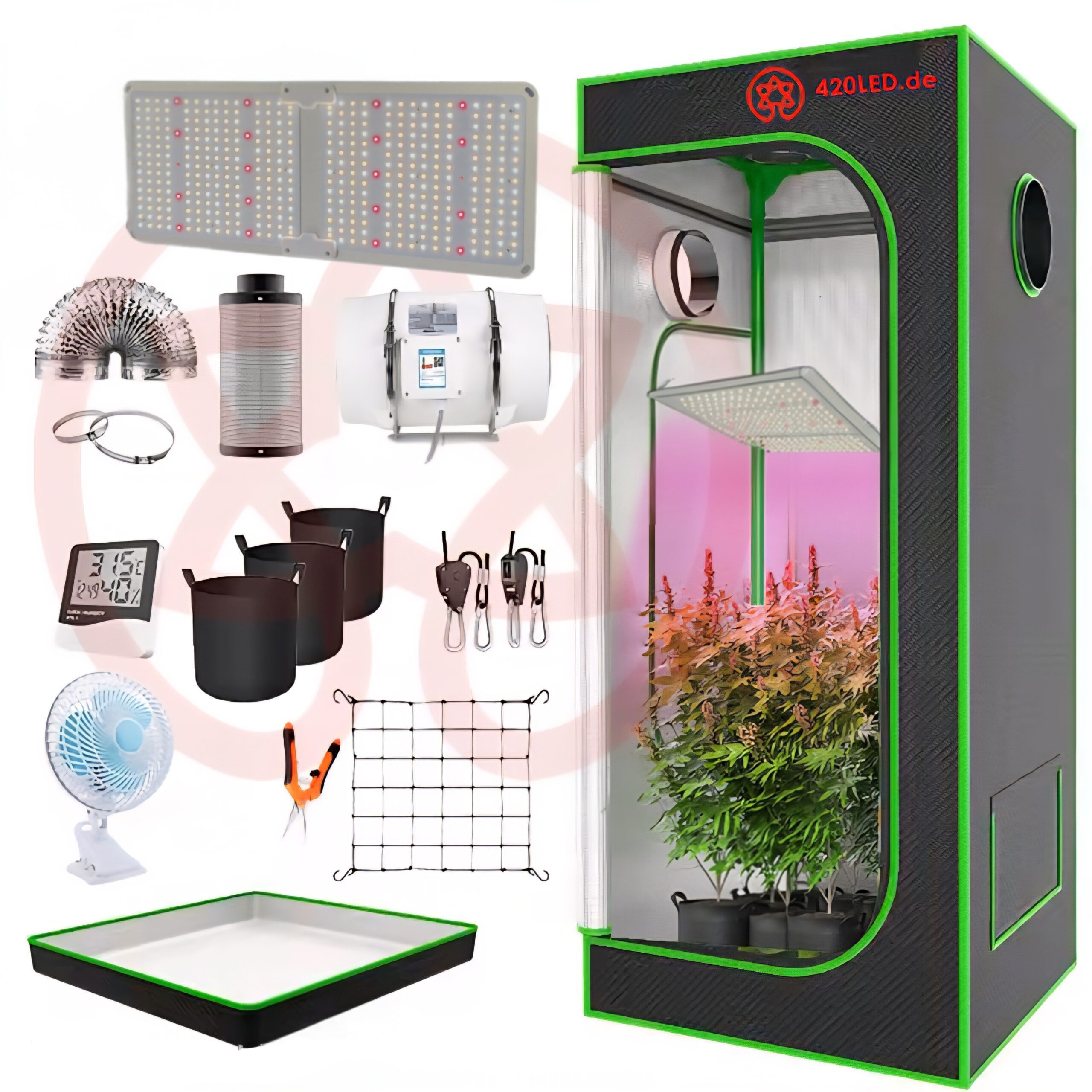 TEUTO Licht Gewächshaus 420LED® TIPI Growset 80x80x180cm, 250 Watt CANDY, G günstig online kaufen