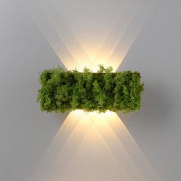 click-licht LED Wandleuchte LED Wandleuchte Green Carlo in Moos und Natur-dunkel 4,8W 130lm, keine Angabe, Leuchtmittel enthalten: Ja, fest verbaut, LED, warmweiss, Wandleuchte, Wandlampe, Wandlicht