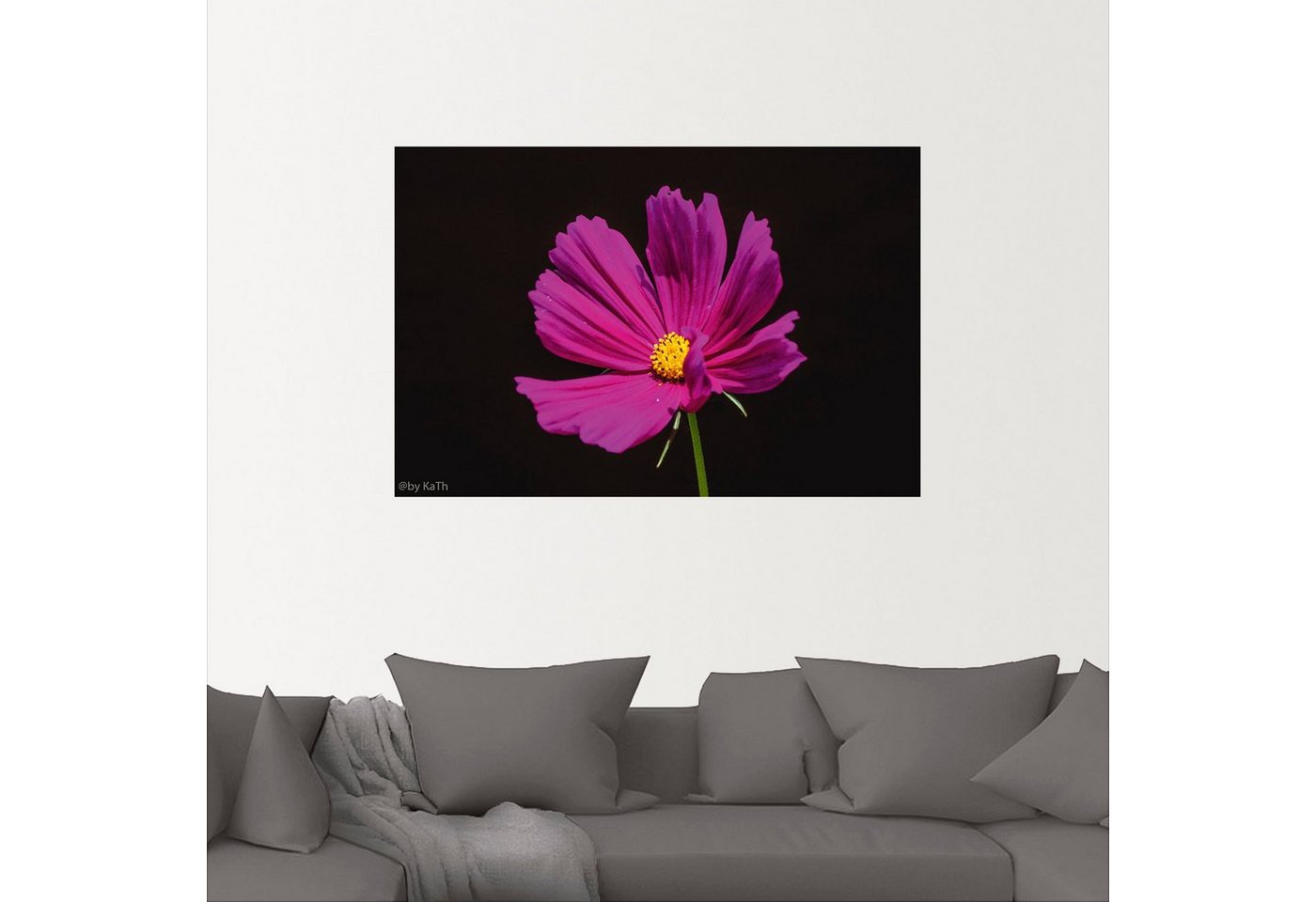 Artland Wandbild »Pink Lady«, Blumenbilder (1 Stück), in vielen Größen & Produktarten - Alubild / Outdoorbild für den Außenbereich, Leinwandbild, Poster, Wandaufkleber / Wandtattoo auch für Badezimmer geeignet-kaufen