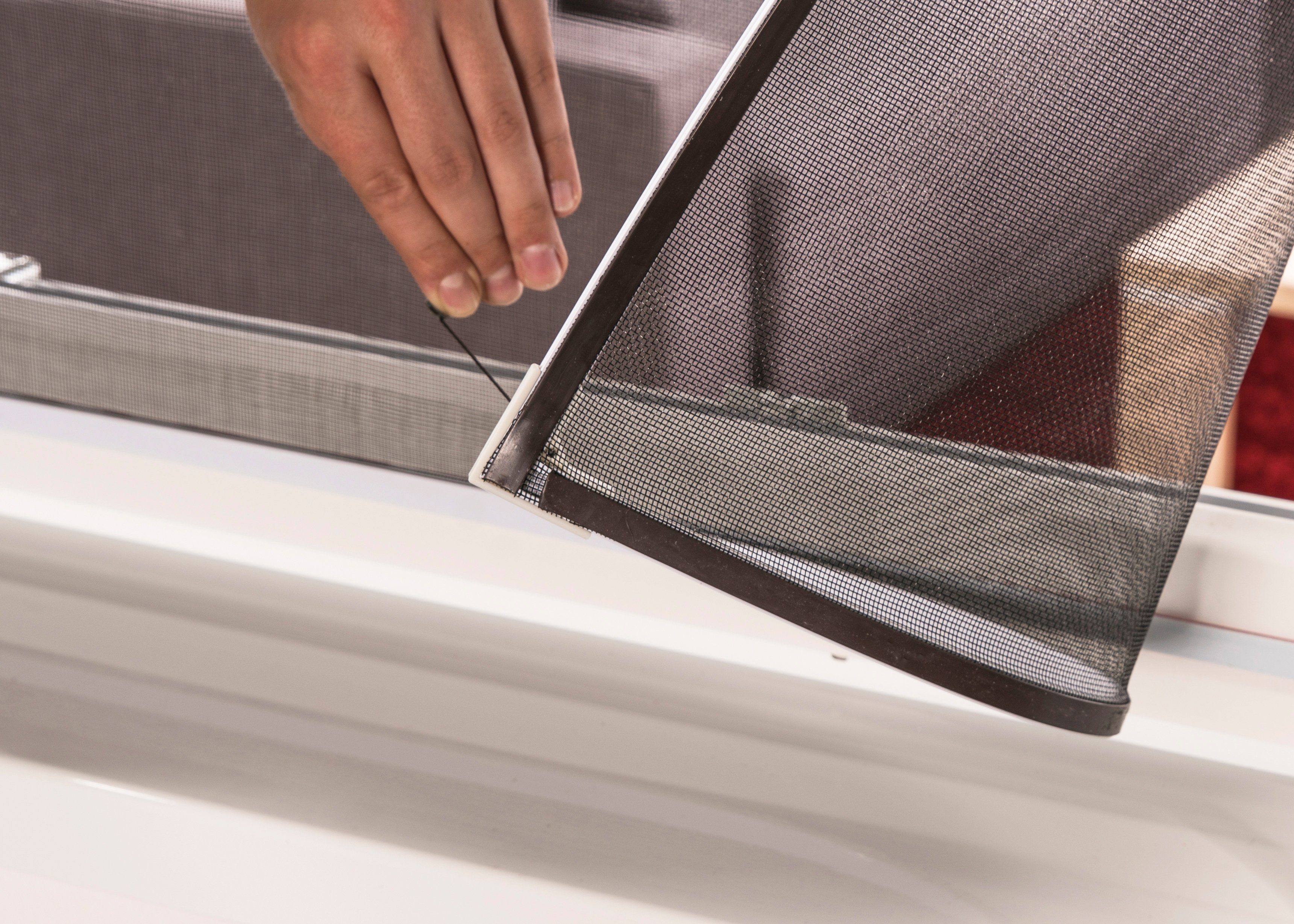 hecht international Insektenschutz-Fensterrahmen EASY, weiß/anthrazit, BxH: 130x150 cm