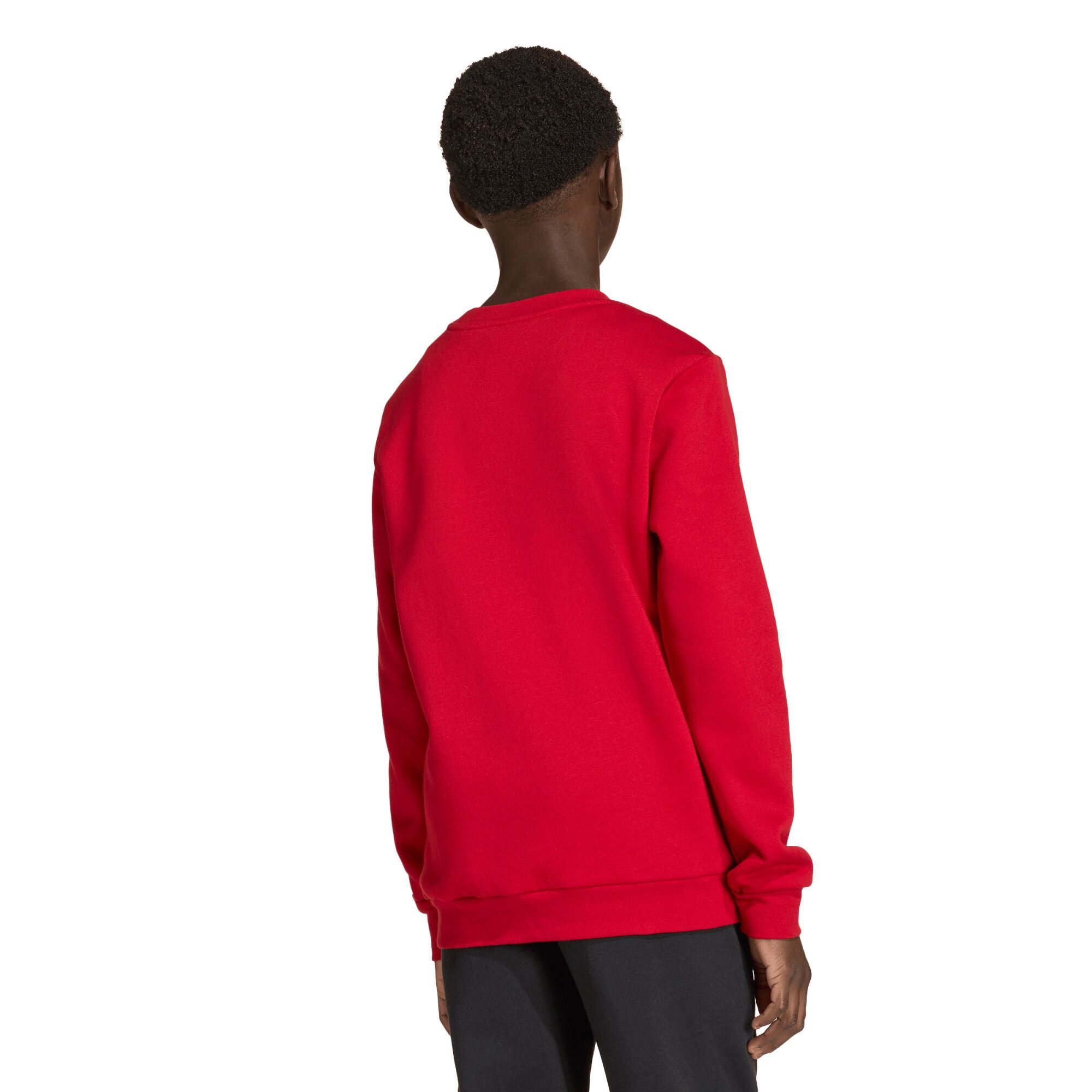 adidas Performance Fleecepullover adidas Kinder Pullover Entrada 26 Sweat Top Y