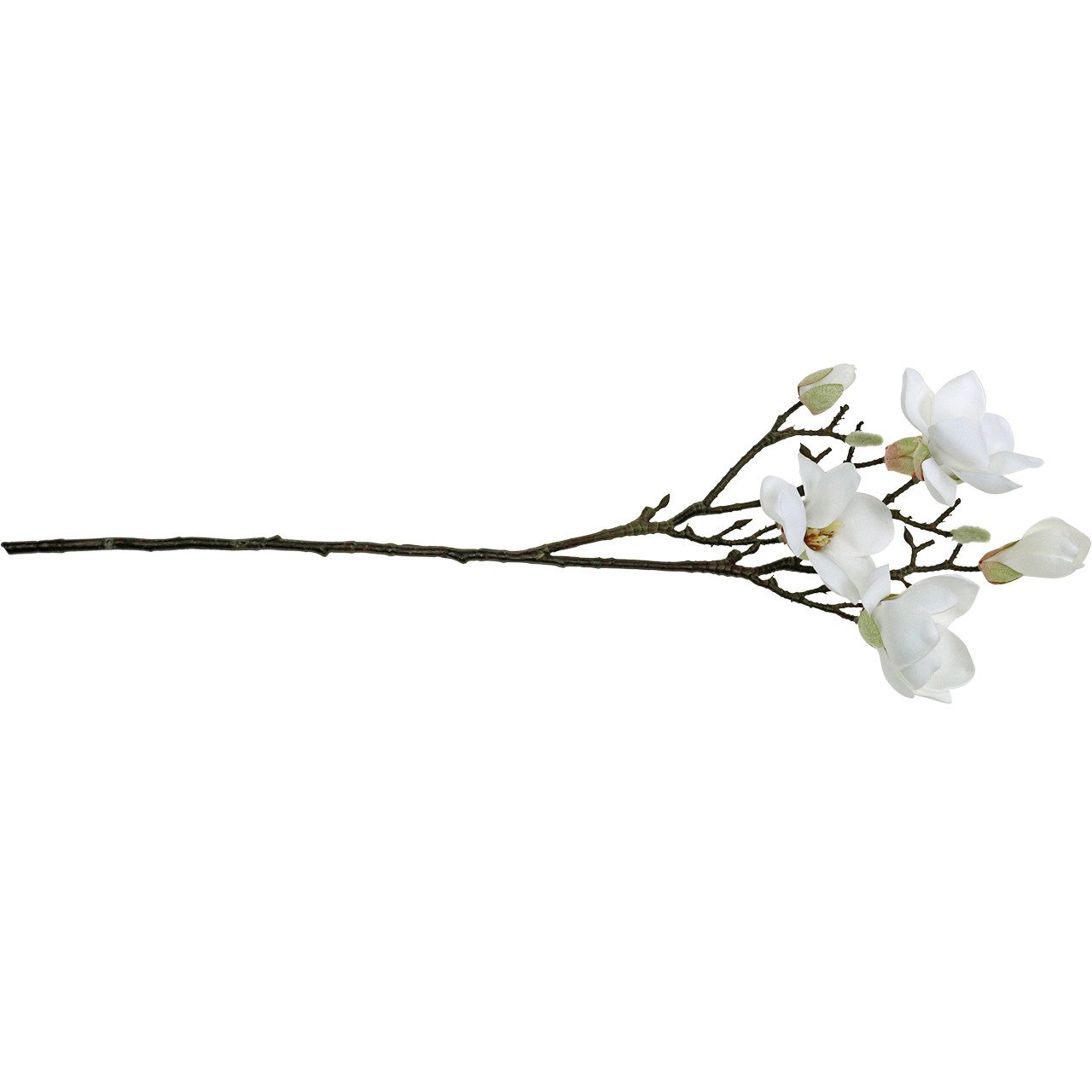 Kunstblume Magnolien Zweig Weiß 67cm Kunstblume Dekozweig, Florists Products, Höhe 30 cm