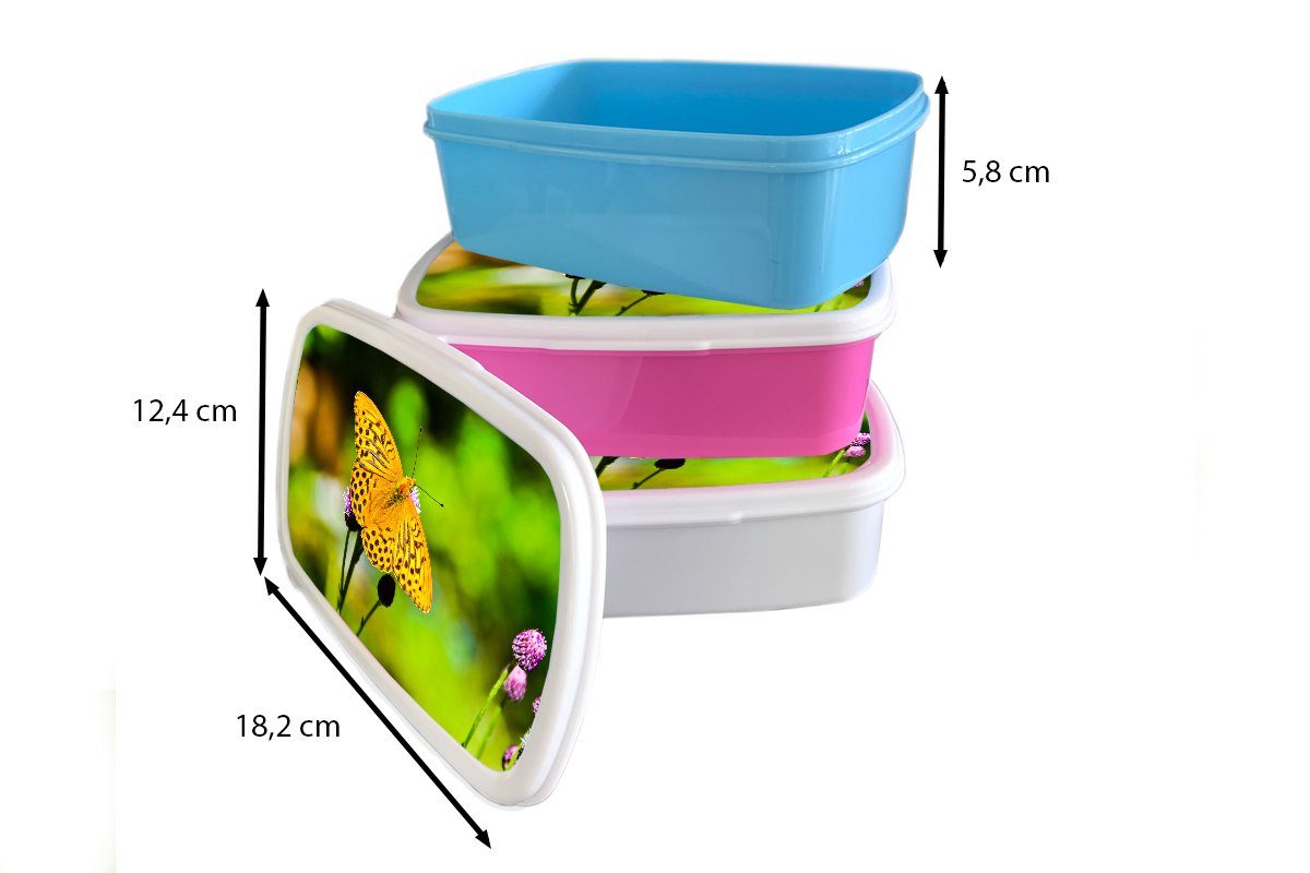 Mädchen Brotdose, Schmetterling Kunststoff, Tiger (2-tlg), - MuchoWow Jungs und - und Kinder Lunchbox Blume, für Erwachsene, Brotbox weiß für