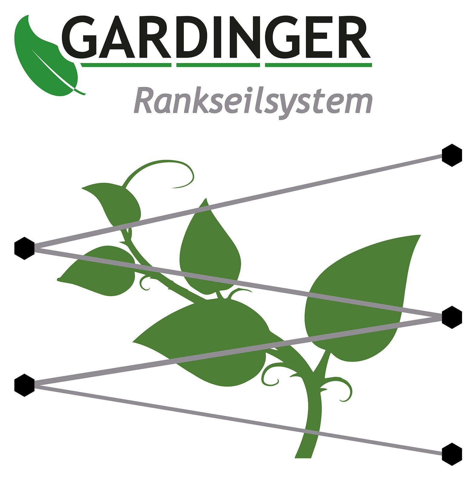 GARDINGER Rankhilfe Rankhilfe Rankseilsystem Edelstahl mit Schrauben und 10 m Drahtseil – Bild 4 von 4