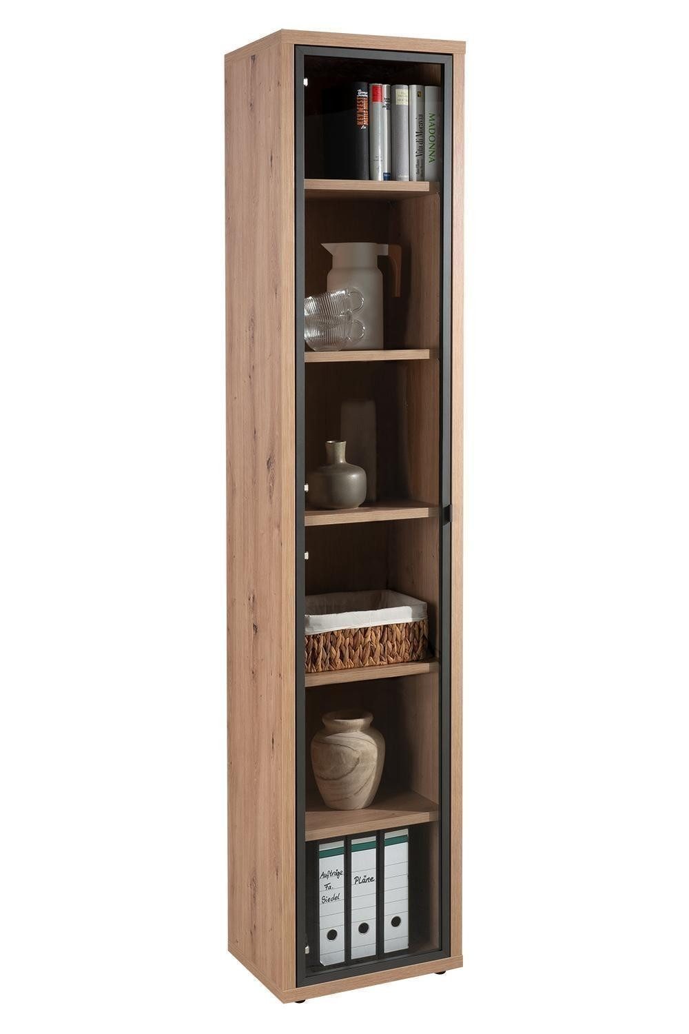 Composad Schranktür Glastür lang DISEGNO, H 210 cm, Anthrazit, Metall, (1 St), B 37 cm x H 210 cm