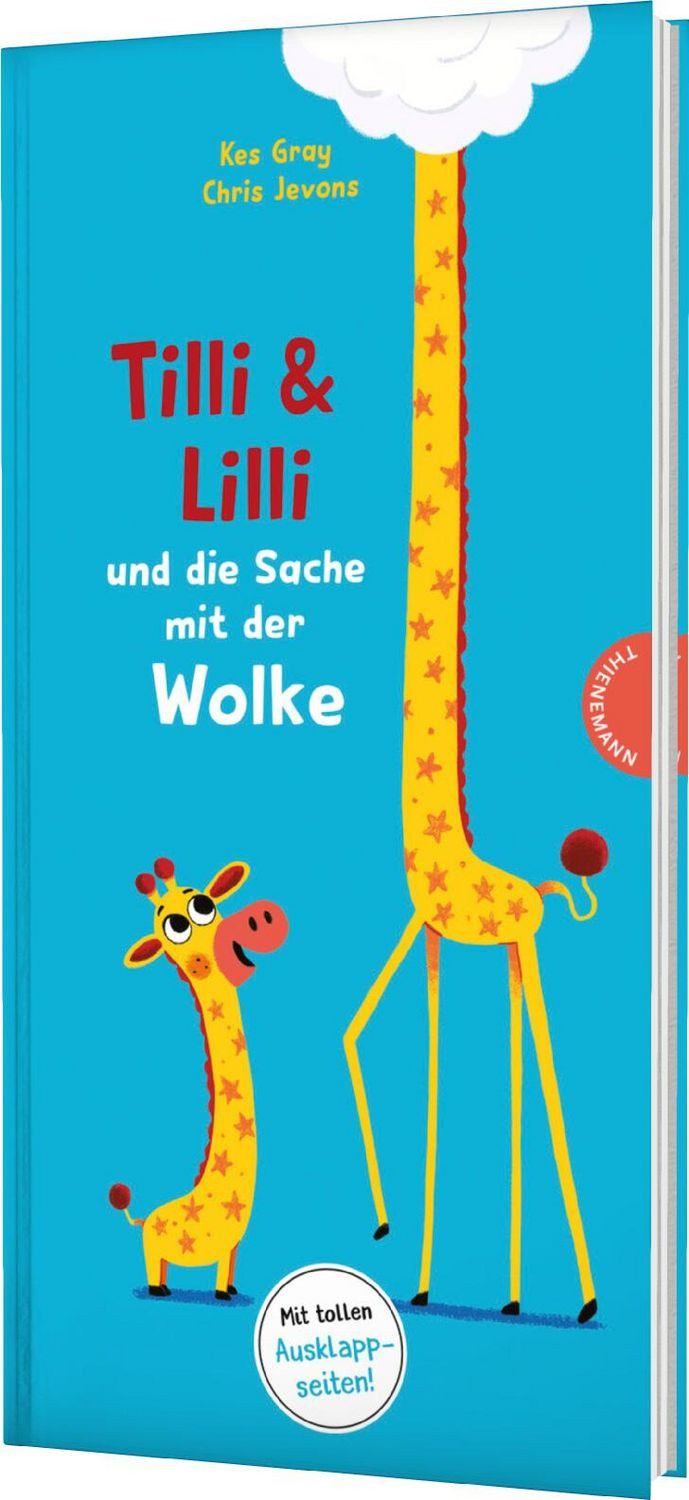 Kinderbuch Tilli und Lilli und die Sache mit der Wolke Lustige Freundschaftsgesch Kes Gray, Chris Jevons