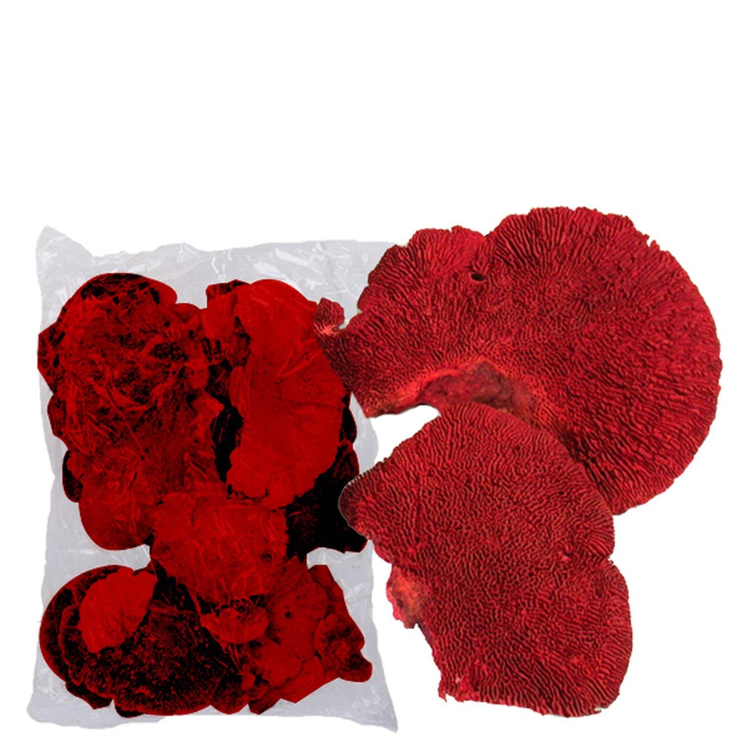 Trockenblume Baumschwamm - 1 kg - rot