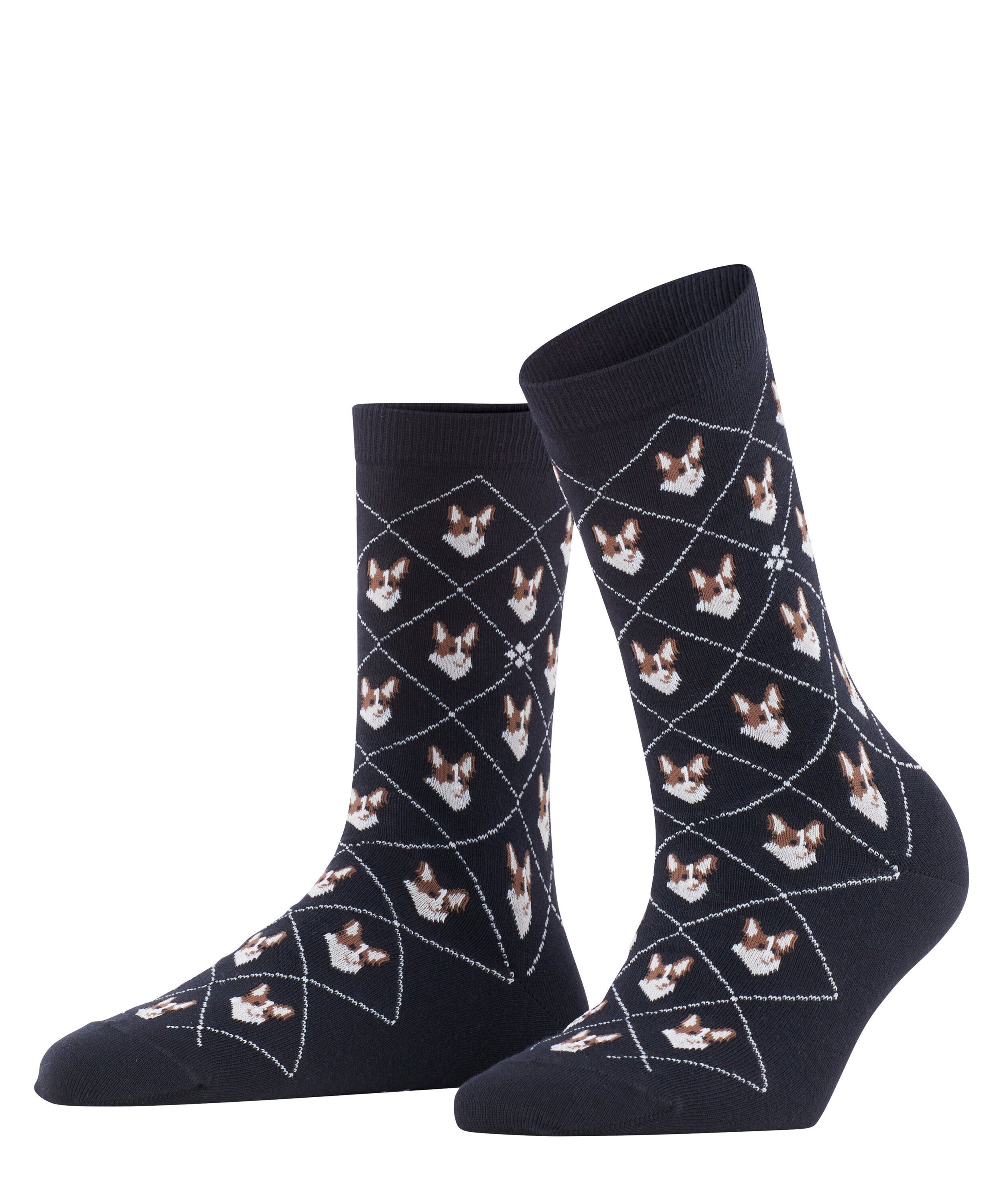 Socken Corgi
