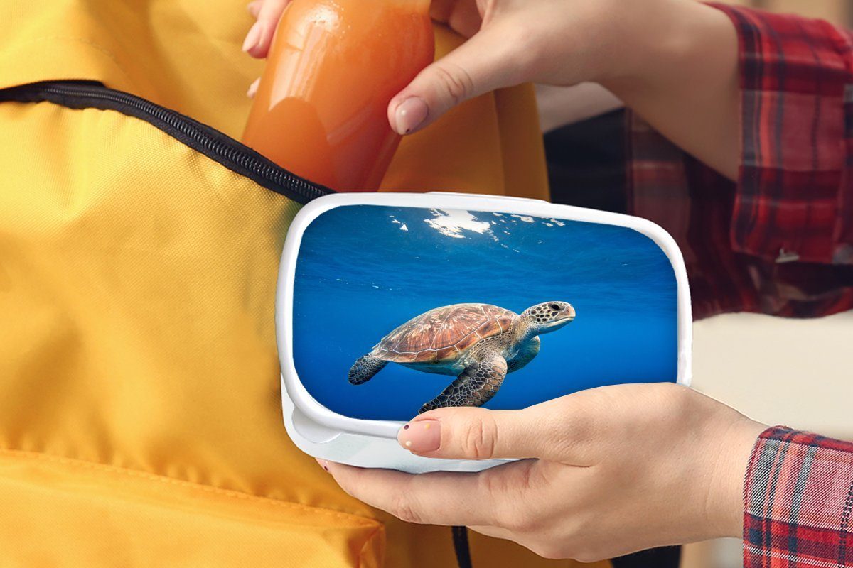 MuchoWow Lunchbox Schildkröte Kinder (2-tlg), Ozean, Brotbox weiß Kunststoff, im und Jungs und Erwachsene, Mädchen für Brotdose, für