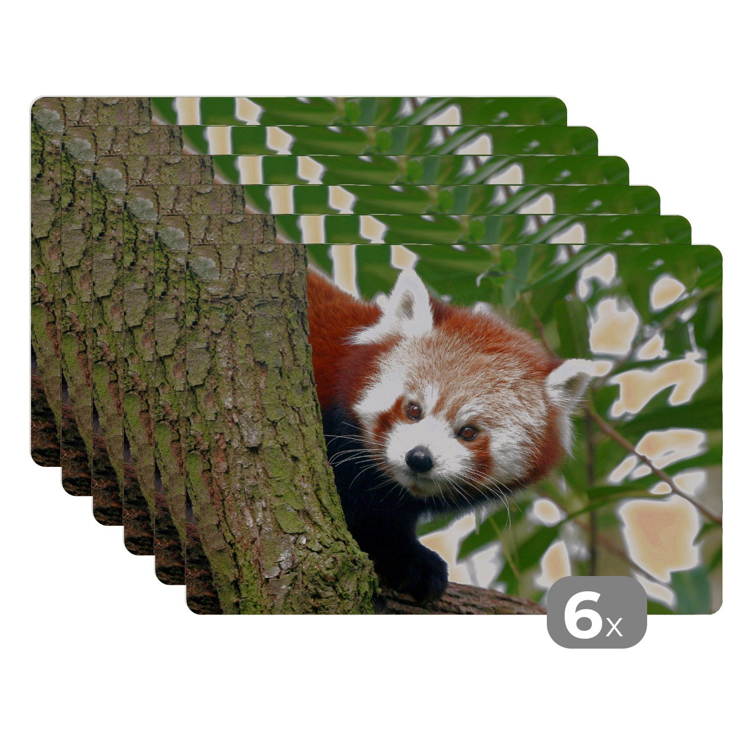 Platzset, Roter Panda - Blätter - Baum, MuchoWow, (6-St), Platzset, Platzdecken, Platzmatte, Tischmatten, Schmutzabweisend