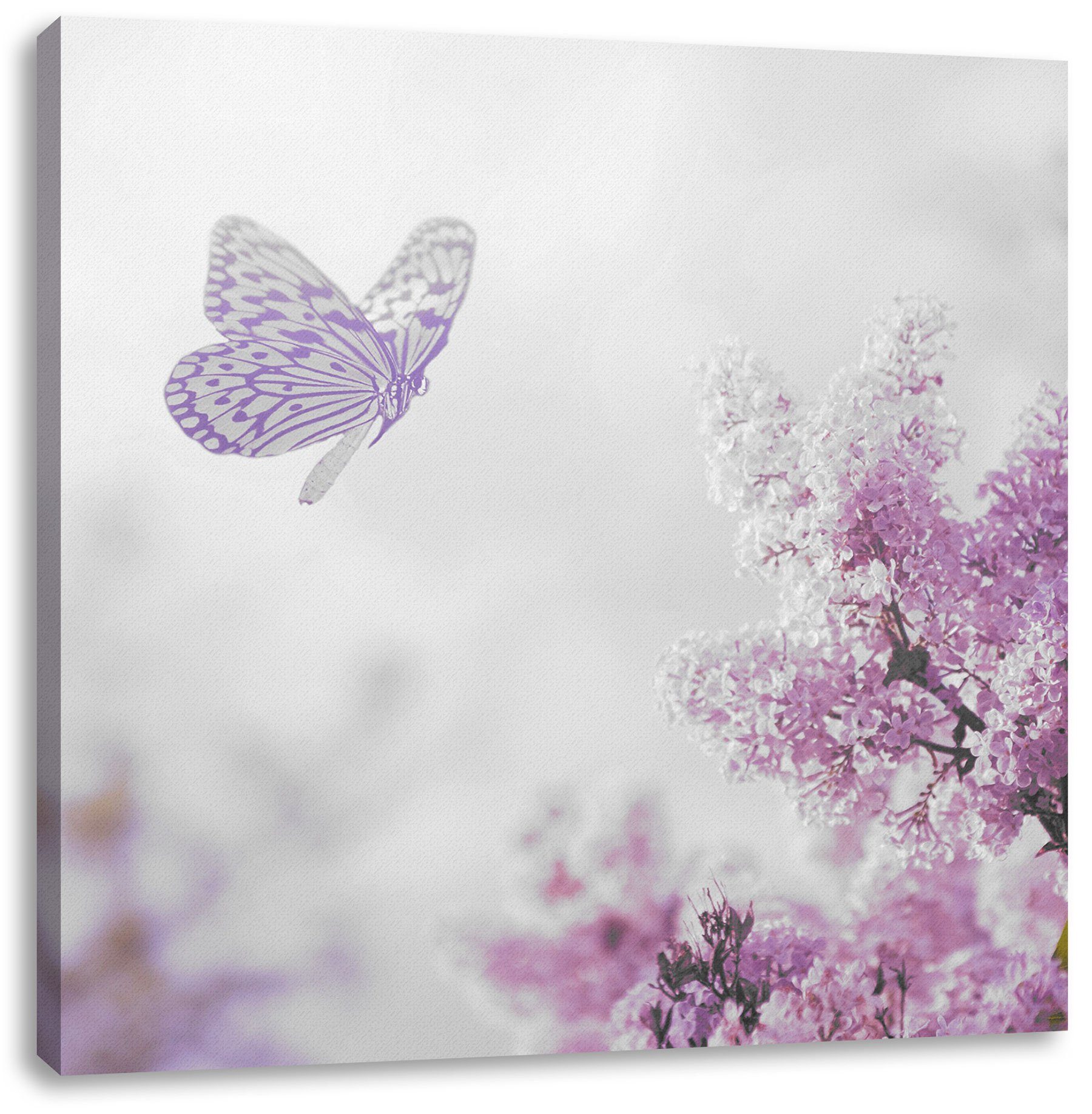 Leinwandbild bespannt, inkl. Zackenaufhänger Leinwandbild Schmetterling Schmetterling Kirschblüten, Pixxprint Kirschblüten St), (1 fertig