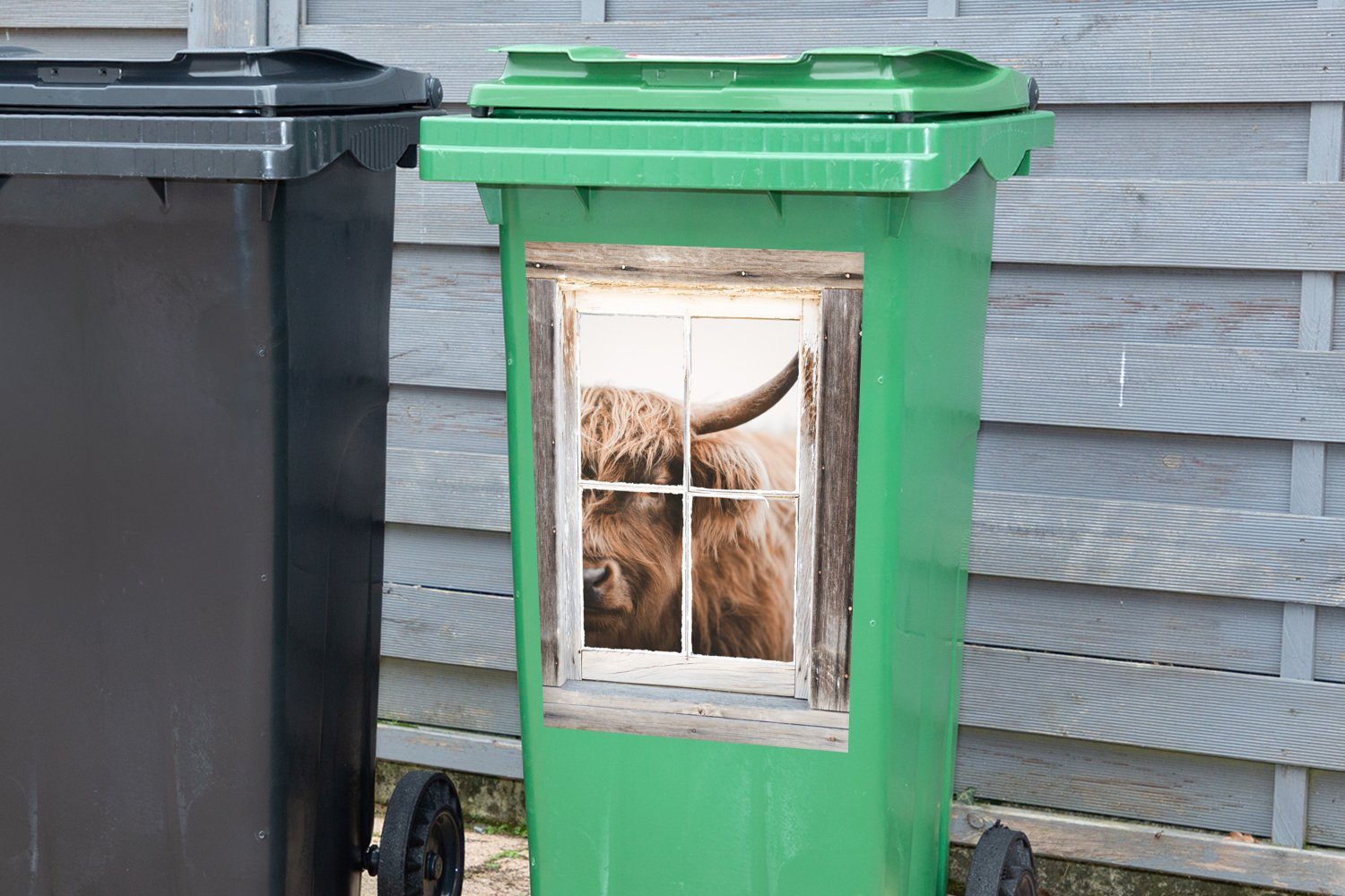 MuchoWow Wandsticker Schottischer Highlander St), Ansicht Abfalbehälter Container, Mülltonne, (1 - Sticker, Fenster Mülleimer-aufkleber, 