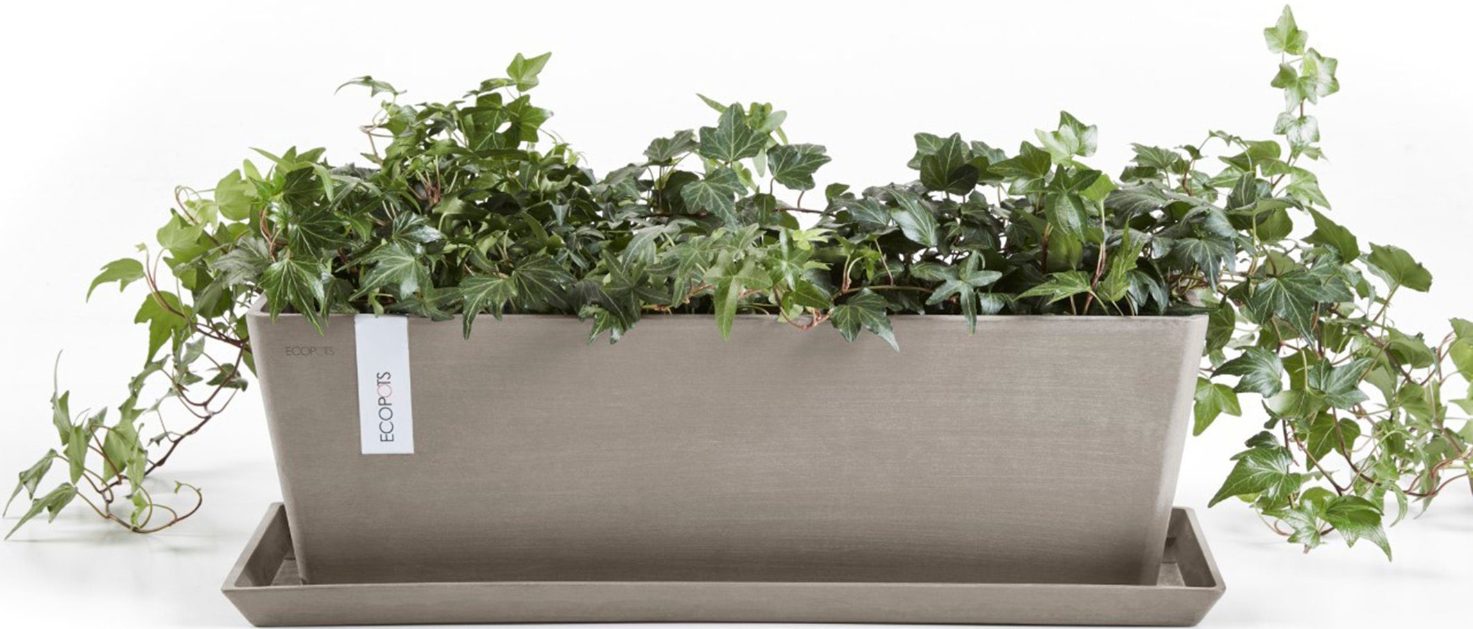 ECOPOTS Balkonkasten Bruges 45 + Wassersystem günstig online kaufen