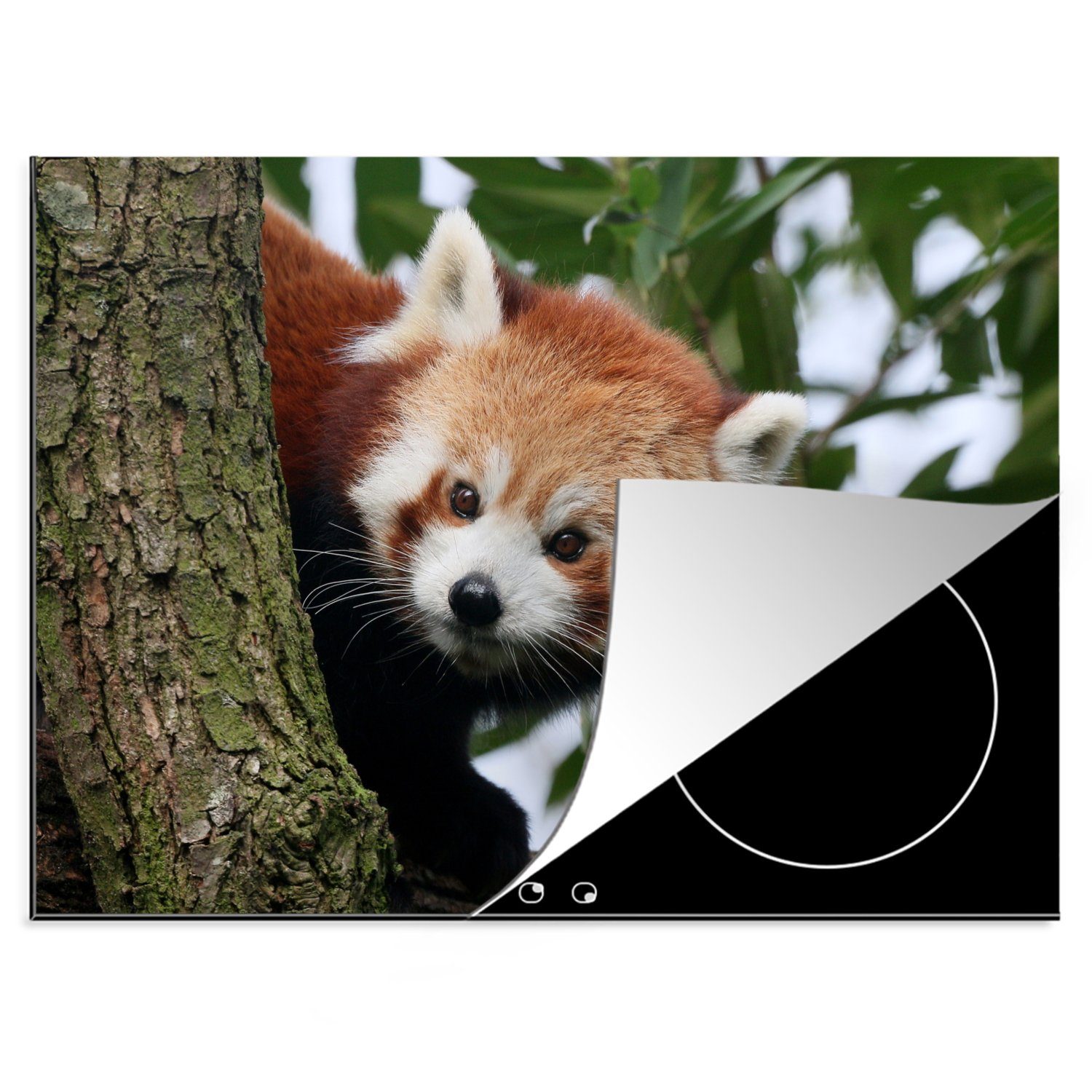 tlg), nutzbar, Baum, 70x52 Mobile (1 MuchoWow Panda cm, - Ceranfeldabdeckung Blätter Roter Herdblende-/Abdeckplatte Arbeitsfläche Vinyl, -