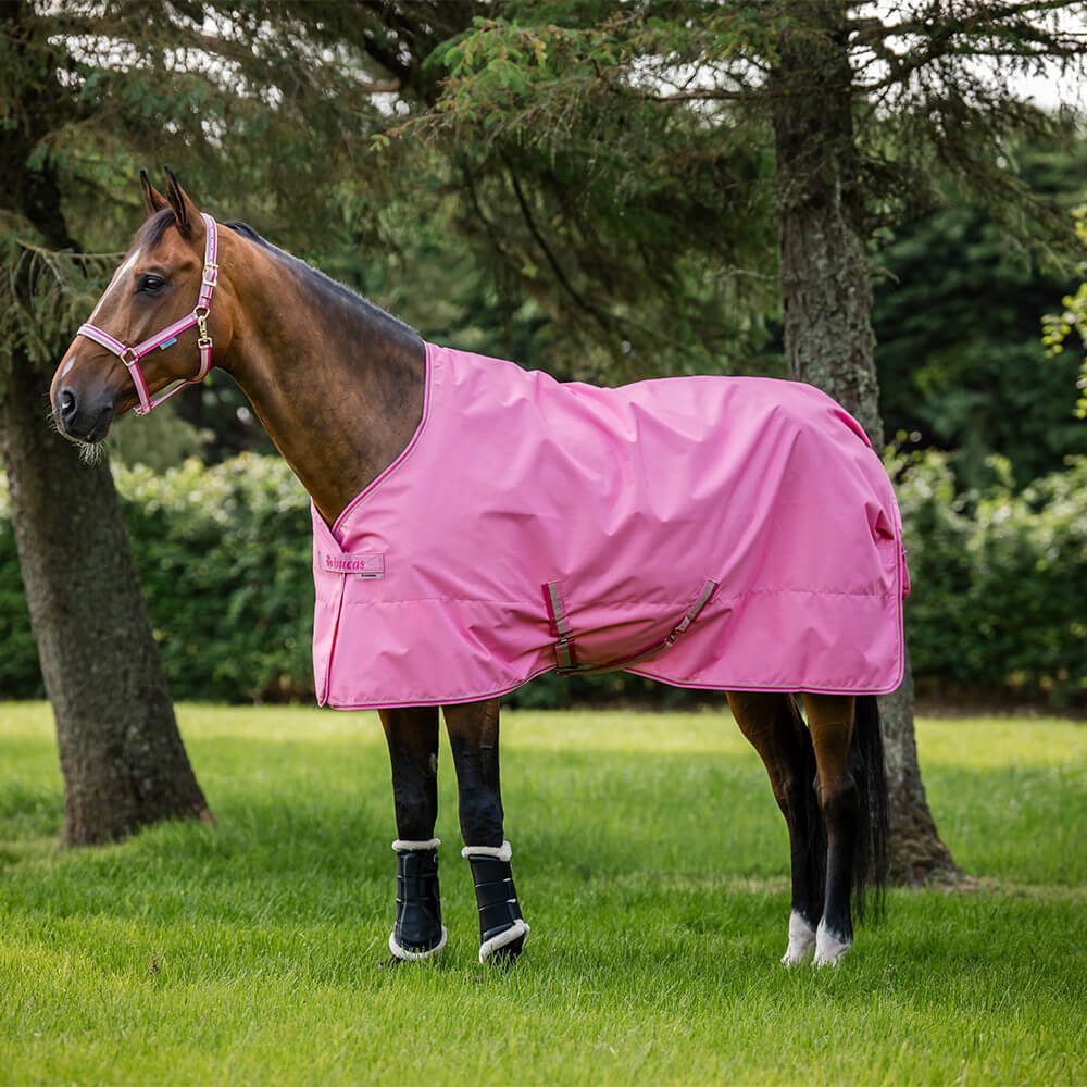 Bucas Pferde-Regendecke Bucas Freedom Turnout Light 0g