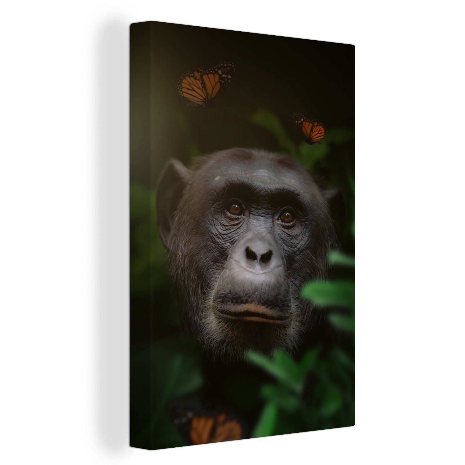 OneMillionCanvasses® Leinwandbild Affe - Dschungel - Schmetterling, (1 St), Leinwandbild fertig bespannt inkl. Zackenaufhänger, Gemälde, 20x30 cm