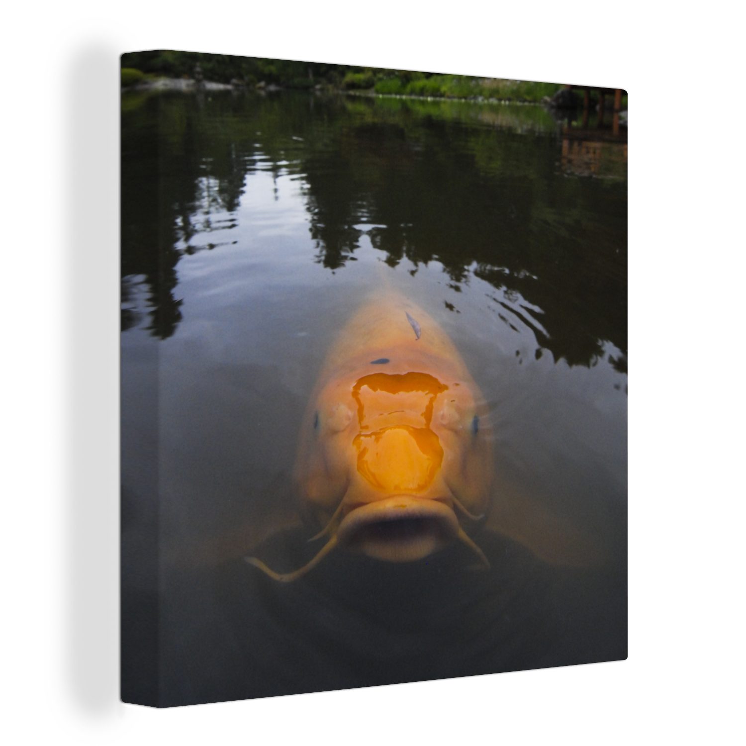 OneMillionCanvasses® Leinwandbild Ein riesiger Koi-Karpfen im Wasser, (1 St), Leinwand Bilder für Wohnzimmer Schlafzimmer