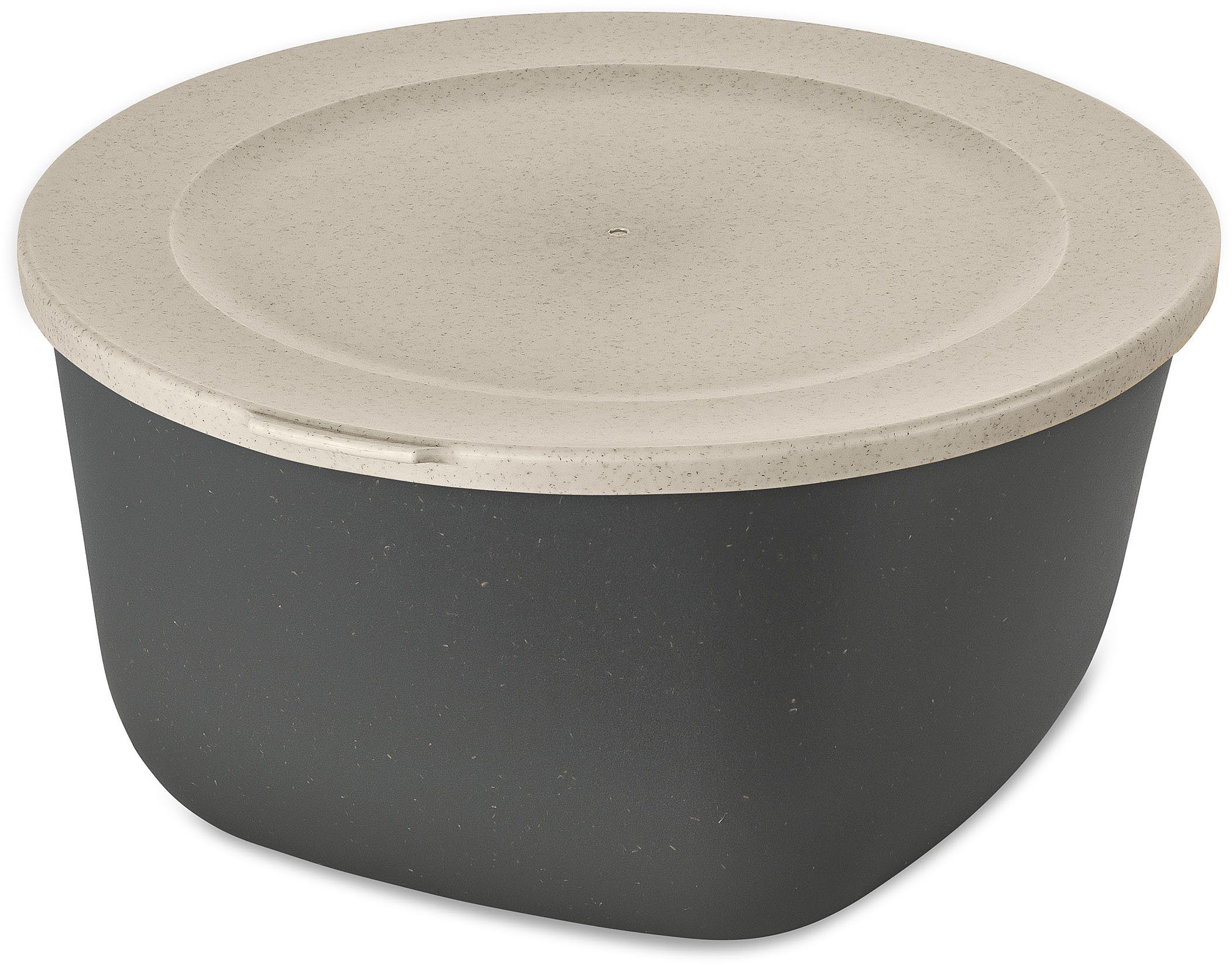 KOZIOL Frischhaltedose CONNECT BOX 4, Kunststoff, (1-tlg), spülmaschinengeeignet,melaminfrei,recycelbar 4L
