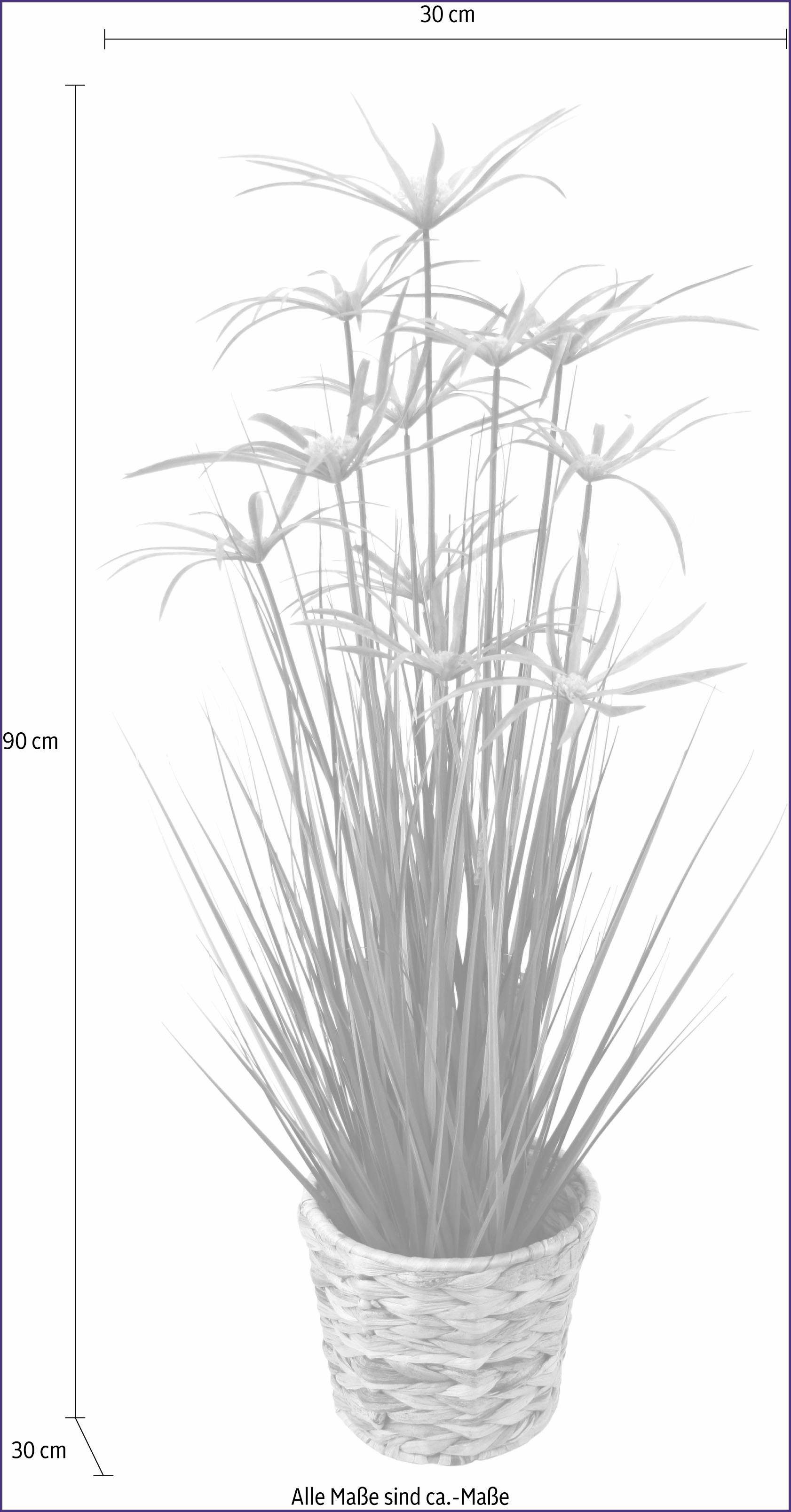 Kunstpflanze Zyperngras in I.GE.A., 90 Wasserhyazinthentopf Zyperngras, Höhe cm