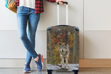 MuchoWow Handgepäckkoffer Wolf - Stein - Wald, 4 Rollen, Reisetasche mit rollen, Handgepäck für Ferien, Trolley, Reisekoffer