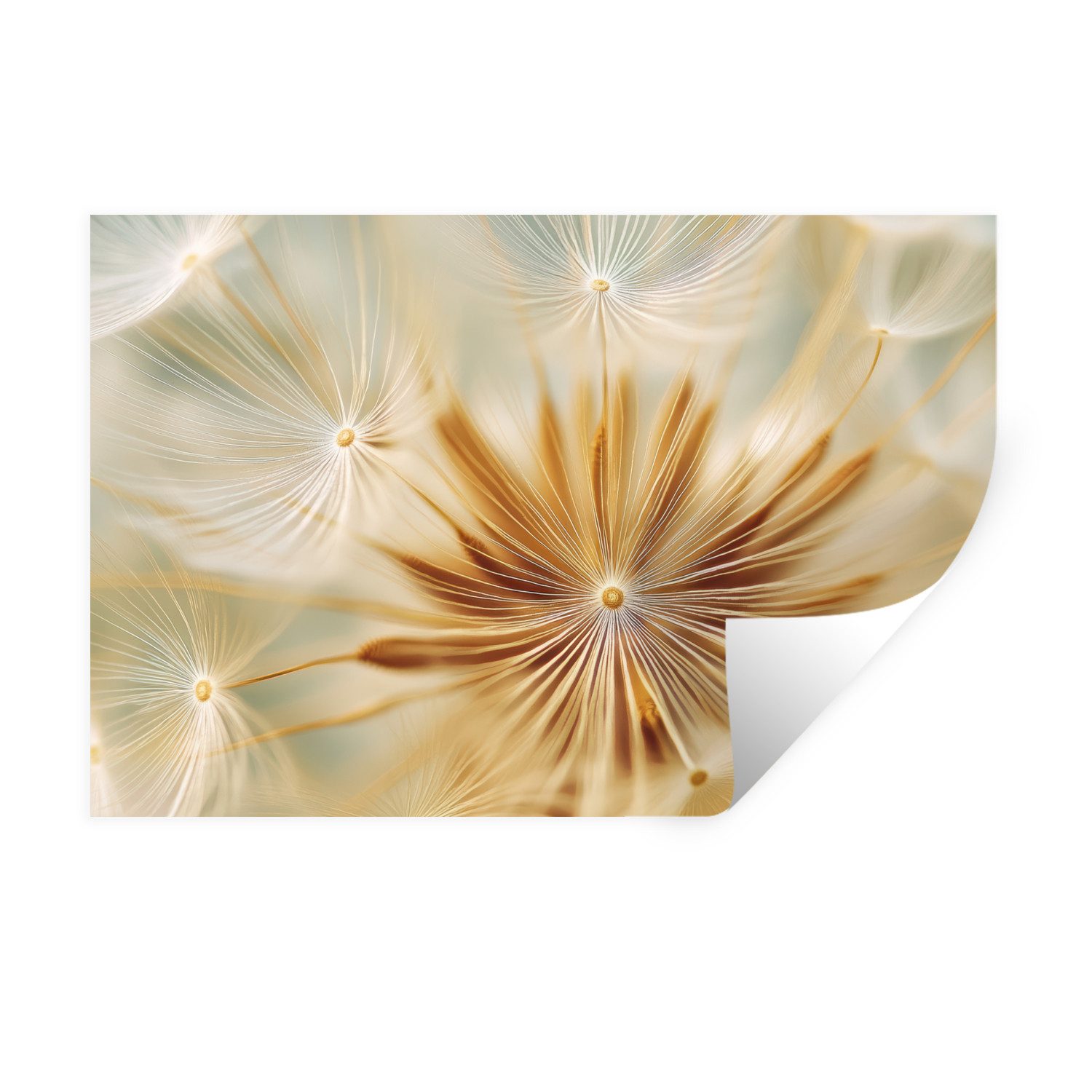 MuchoWow Wandsticker Löwenzahn - Beige - günstig online kaufen
