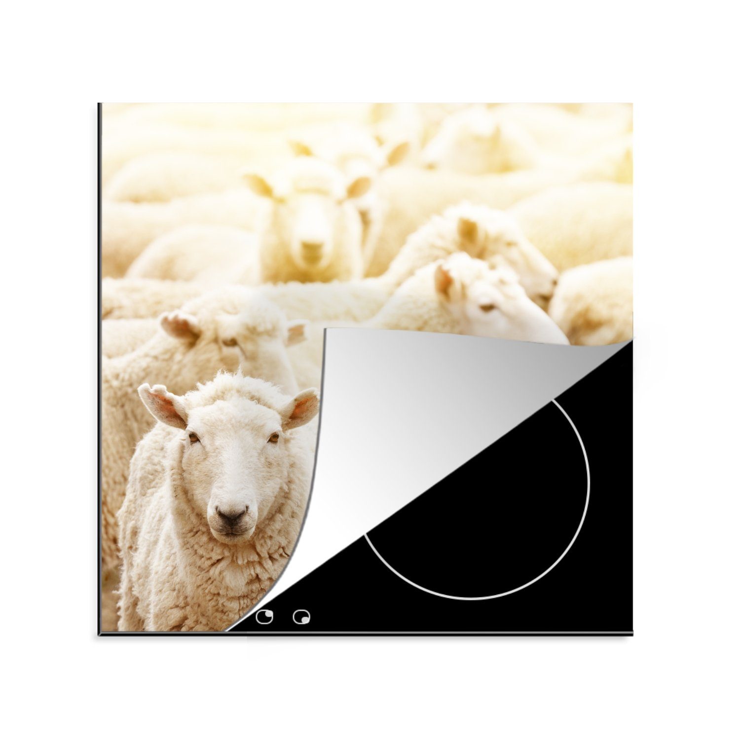 MuchoWow Herdblende-/Abdeckplatte Schafe Weiß, - 78x78 (1 Vinyl, - tlg), für Arbeitsplatte Wolle cm, küche Ceranfeldabdeckung