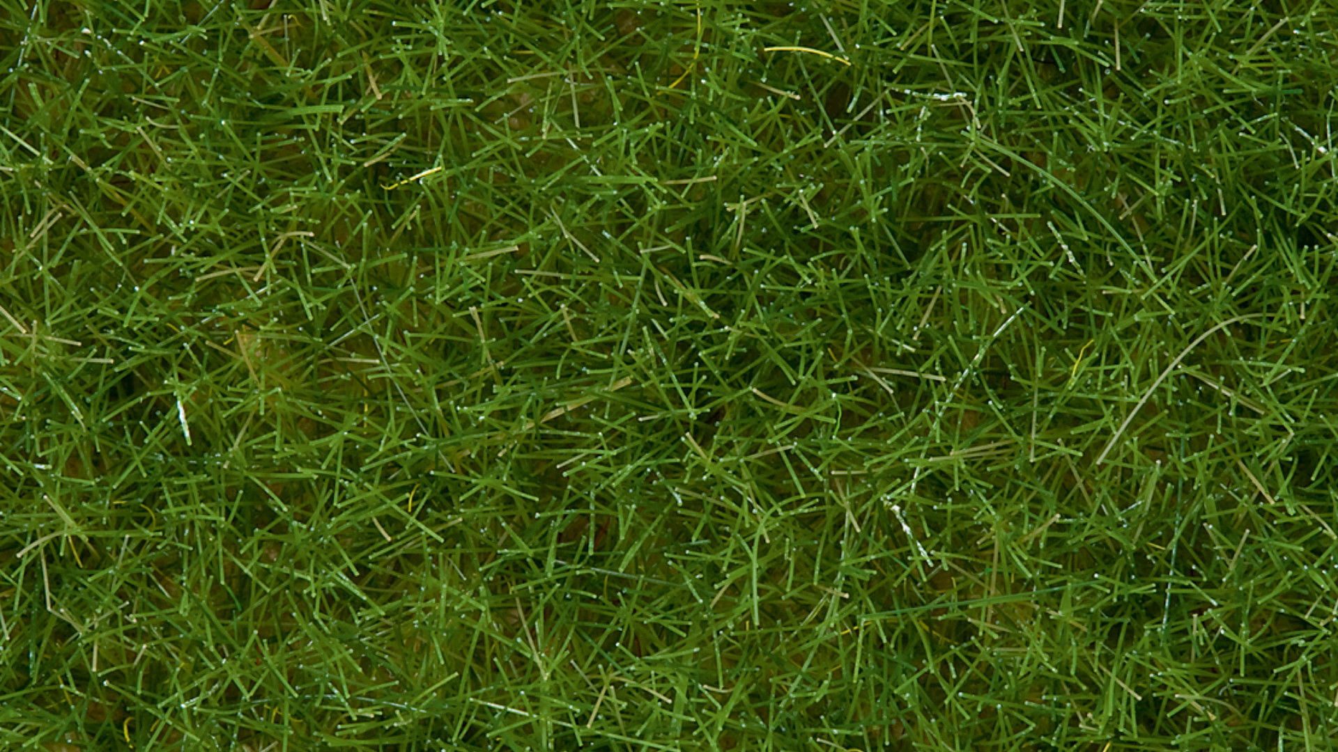 NOCH Modelleisenbahn-Grasfasern Wildgras, hellgrünes Modellbau Gras, 6 mm 50g, per, Streu