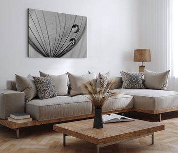 Sinus Art Leinwandbild 120x80cm Wandbild auf Leinwand Schwarz Weiß Makrofotografie Pusteblume, (1 St)