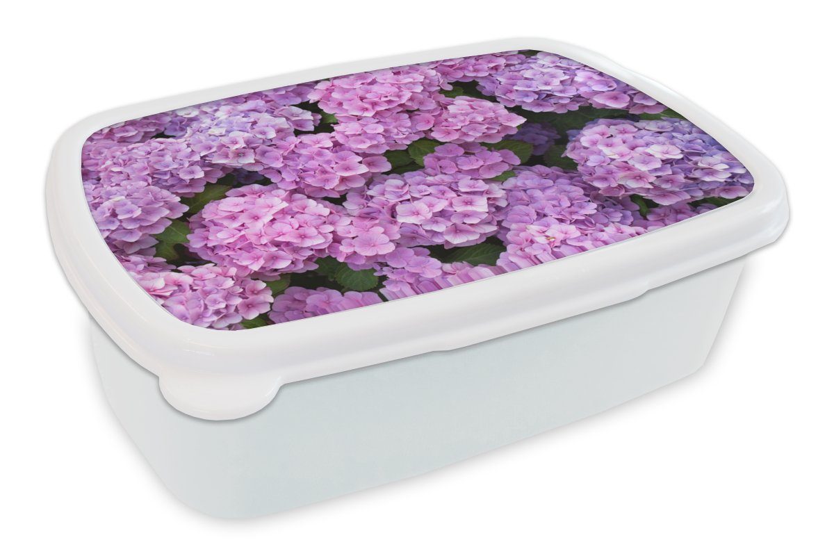 MuchoWow Lunchbox Blumen - Hortensie - Strauch - Rosa - Blütenblätter, Kunststoff, (2-tlg), Brotbox für Kinder und Erwachsene, Brotdose, für Jungs und Mädchen weiß