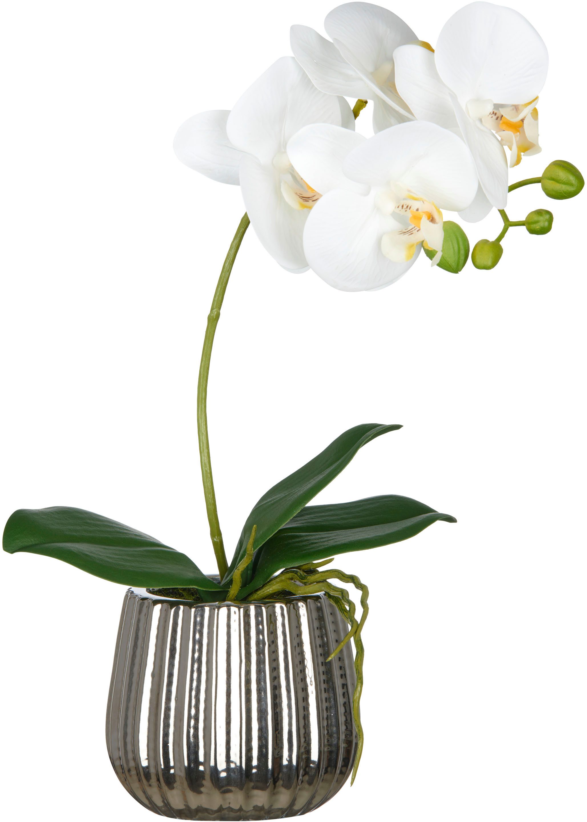 Kunstorchidee Phalaenopsis, Creativ green, Höhe 36 cm, mit Real-Touch-Blüten
