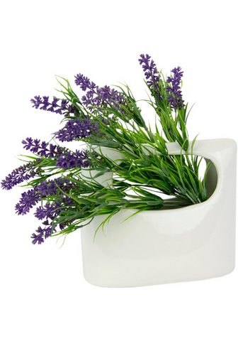 HOME AFFAIRE Искусственное растение »Lavendel...