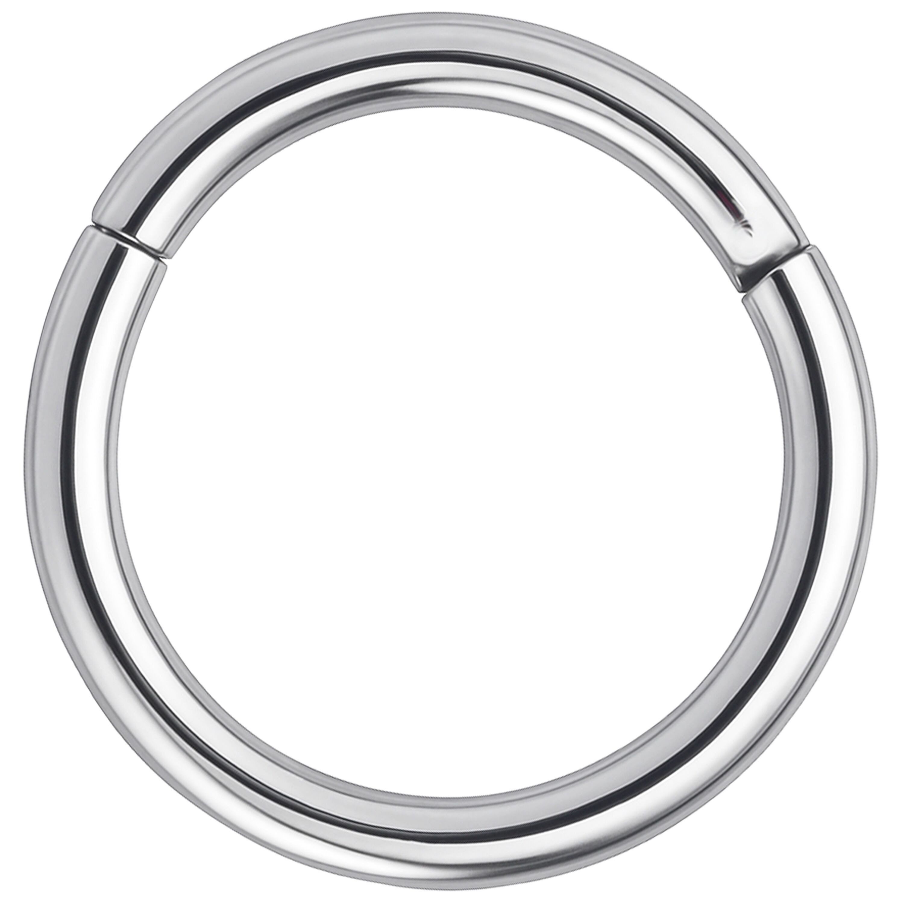 Wildcat Nasenpiercing Hinged Segmentring für Ohr, Nase, Lippe, Bauchnabel, 1 Stück, Chirurgenstahl 316L - wasserfest, hautverträglich, Silber