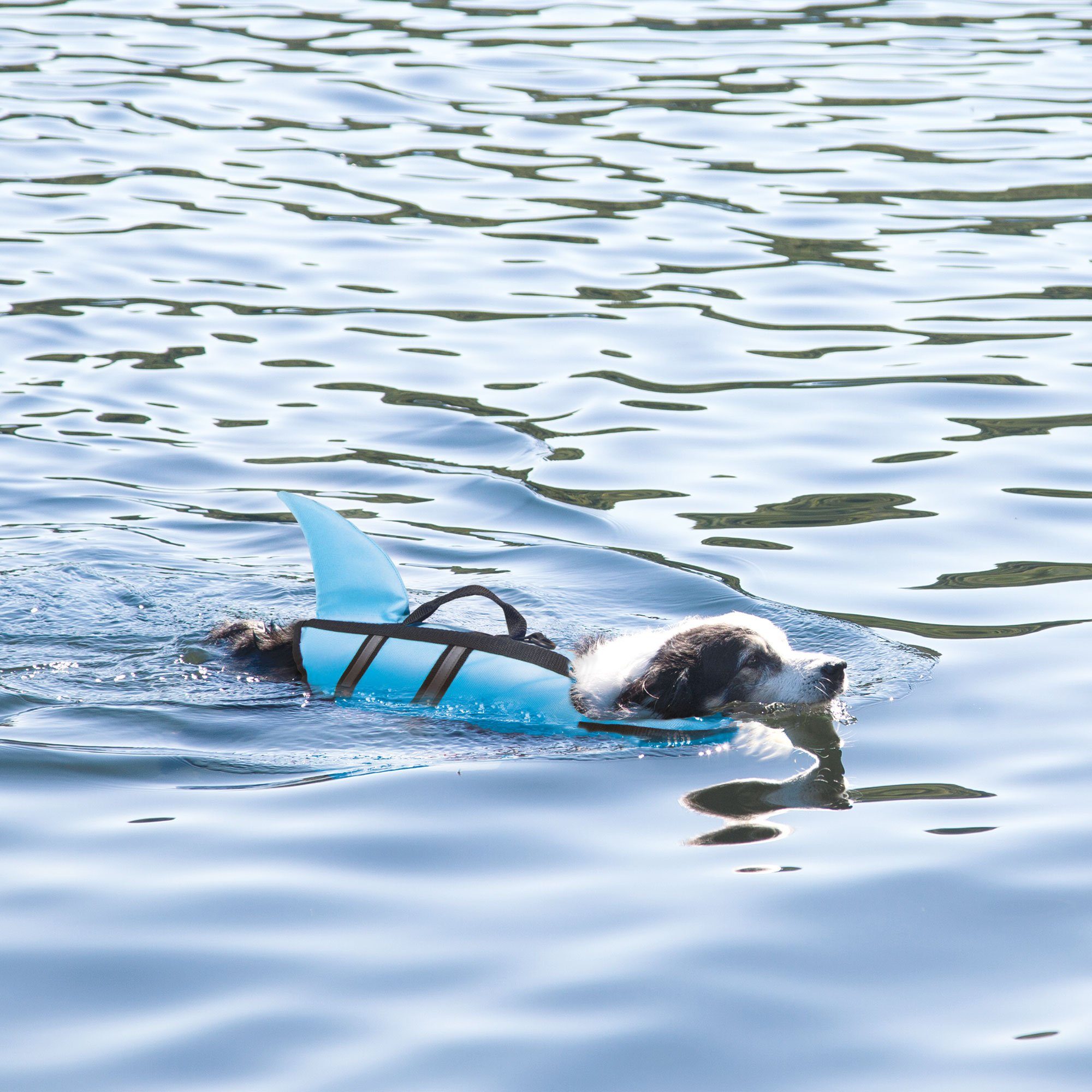 - SHARKY Schwimmweste mit Schwimmhilfe, Haiflosse Schwimmweste lustiger Badespaß Schwimmhilfe Hunde Nobby für mehr