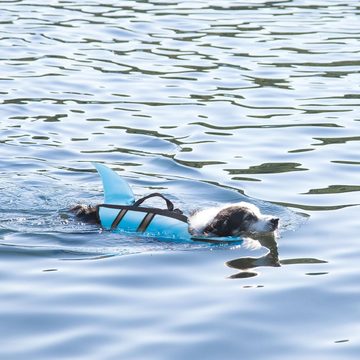 Nobby Schwimmweste Hunde Schwimmweste SHARKY - Schwimmhilfe, Schwimmhilfe mit lustiger Haiflosse für mehr Badespaß