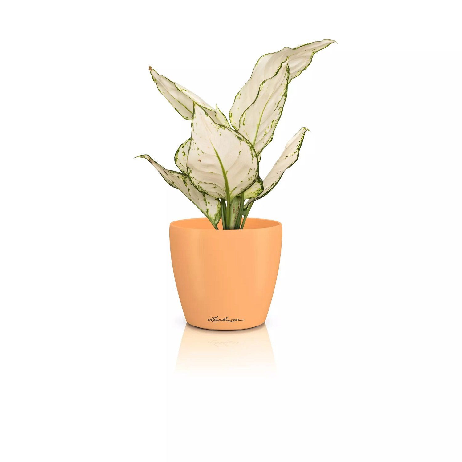 Lechuza® Übertopf Classico Color 12 DECO papaya